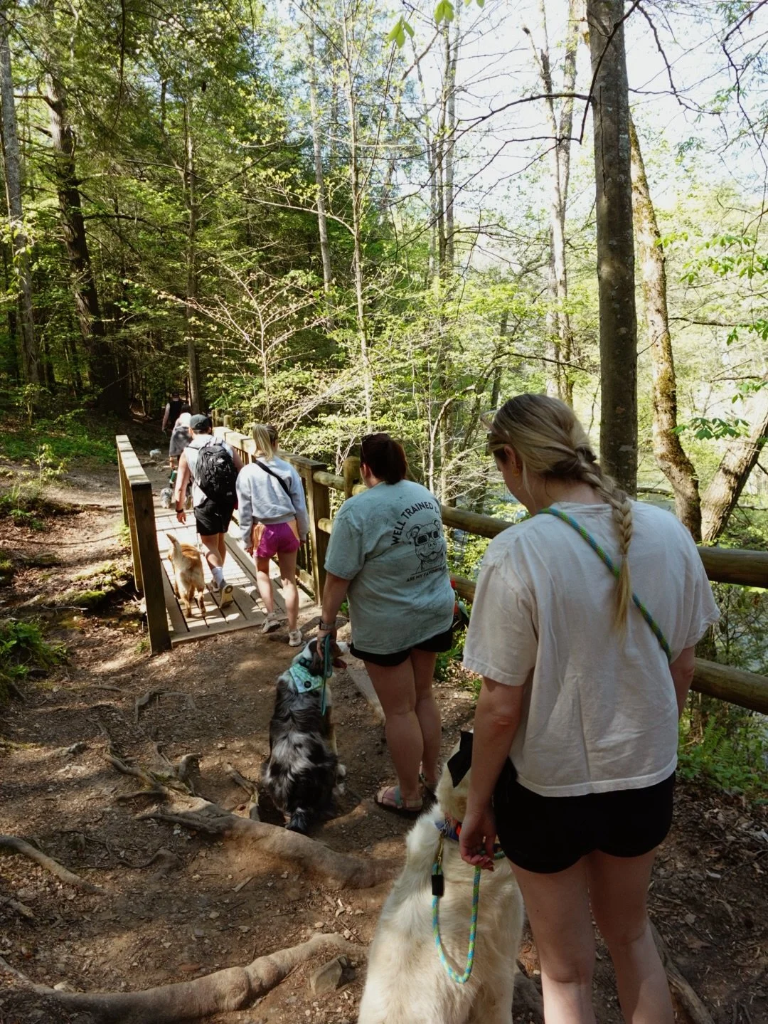 our first pack hike of the year in the books! 🤩🐾🫶🏼 
we had so much fun enjoying the weather with you &amp; your pups; can&rsquo;t wait for the next one 🌲🚌💗 
#dogadventure #dogtrainer #grouptraining #nash