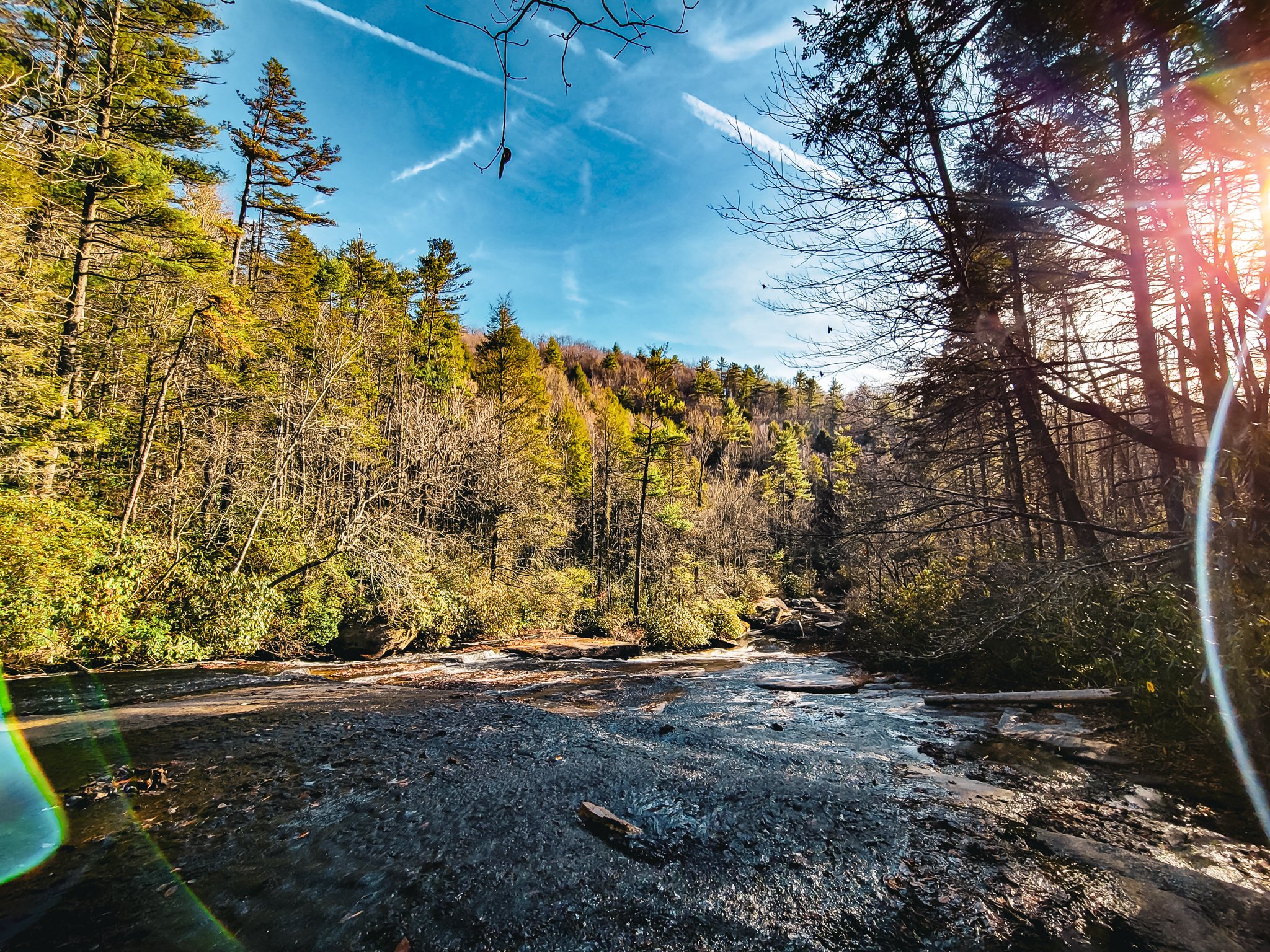A river flowing through a forested area with trees on both sides, some with leaves and some without, under a clear blue sky. The sun is shining from the right side, creating lens flare.