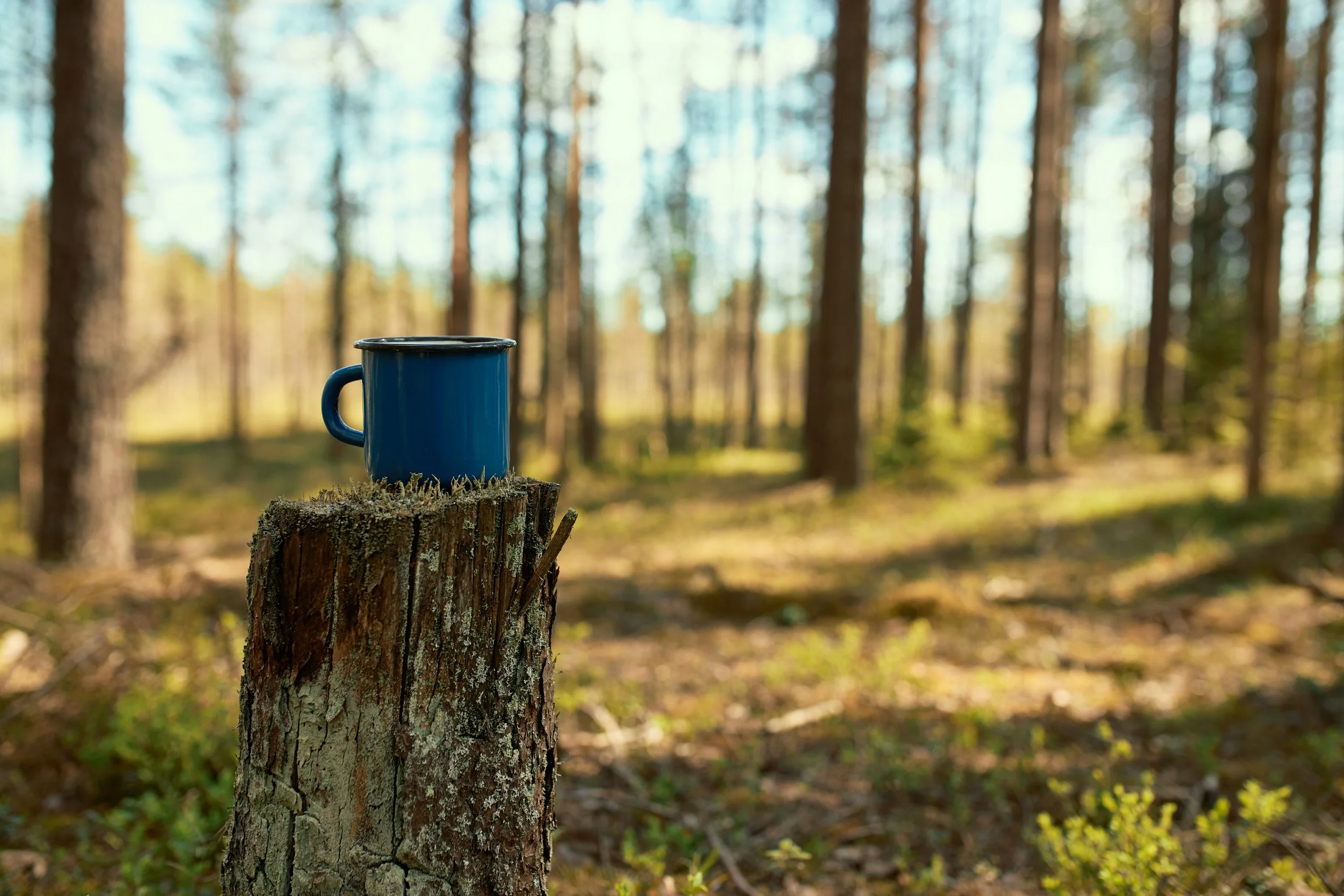 scenic-view-hiking-enameled-cup-tea-stump-foreground-with-pine-trees-blue-sky-background.jpg