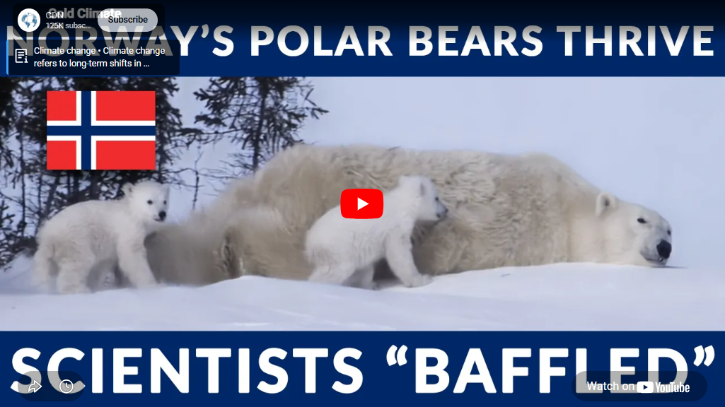 Climate Discussion Nexus 