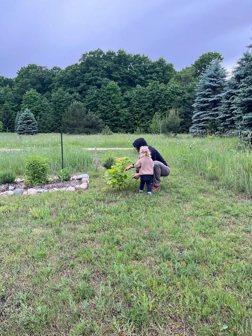 Whispers of Nature: Ground, Buzz, Bloom - Petals & Peace (August 23)