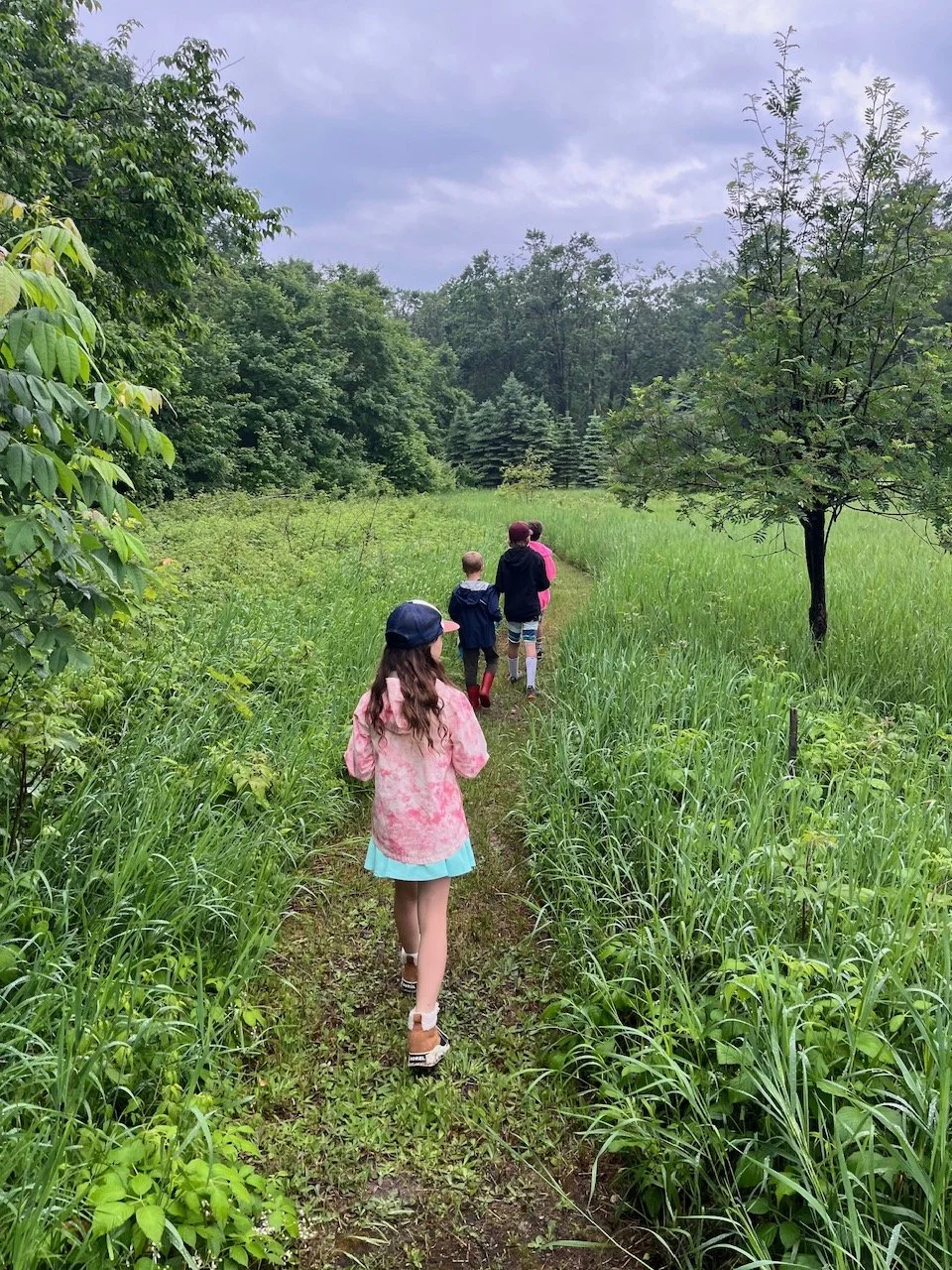 Whispers of Nature: Ground, Buzz, Bloom - Meadow Mindful Breathing Like a Bee (August 16)
