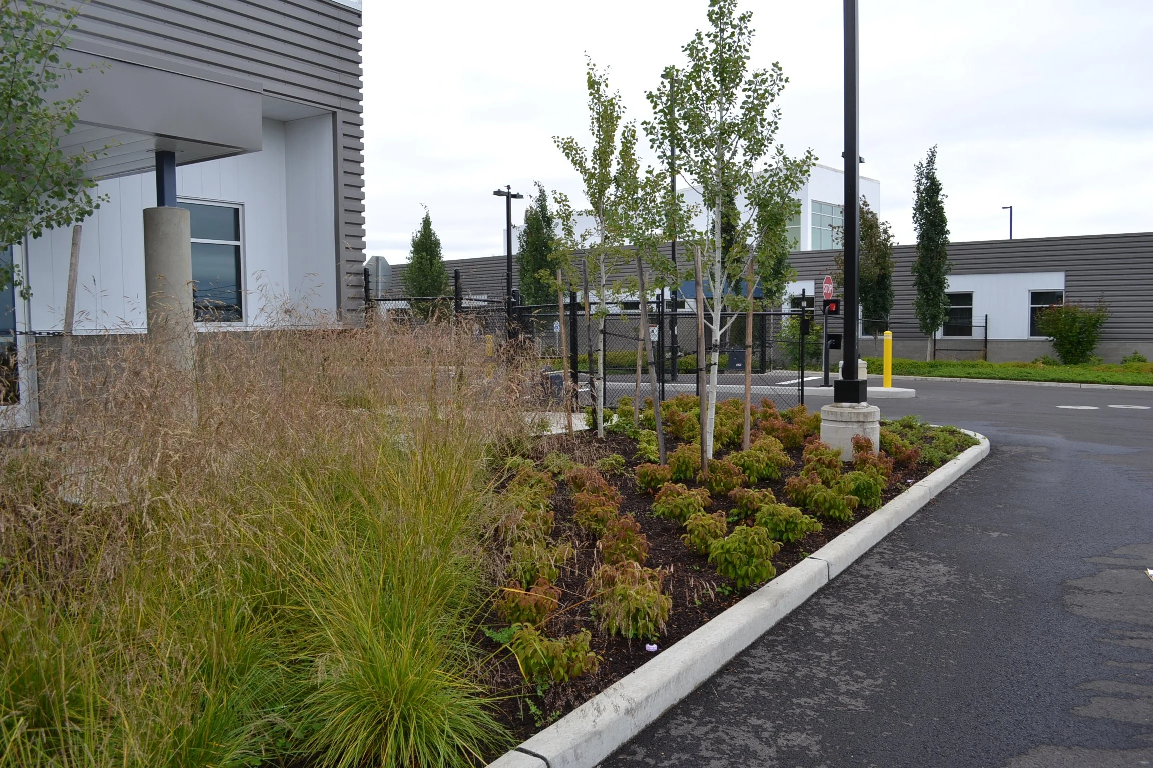 Chambers Creek Wastewater Treatment Plant