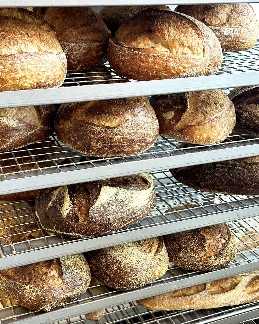 bread-image.png