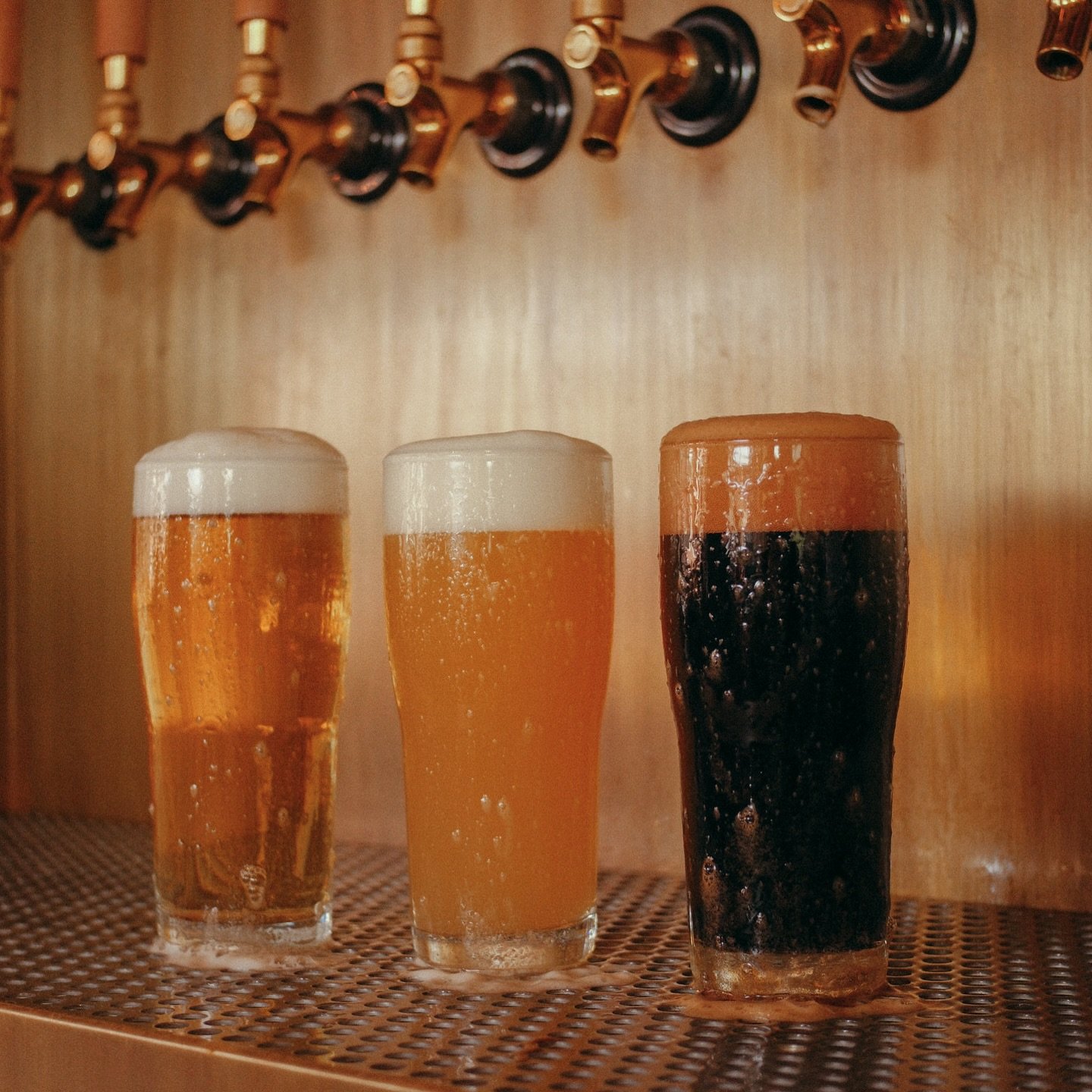 We don&rsquo;t discriminate 🍻🍺 

Locally brewed award-winning craft beer at Capo Public House @rodeo72pm 

Tag someone you want to grab a beer with.