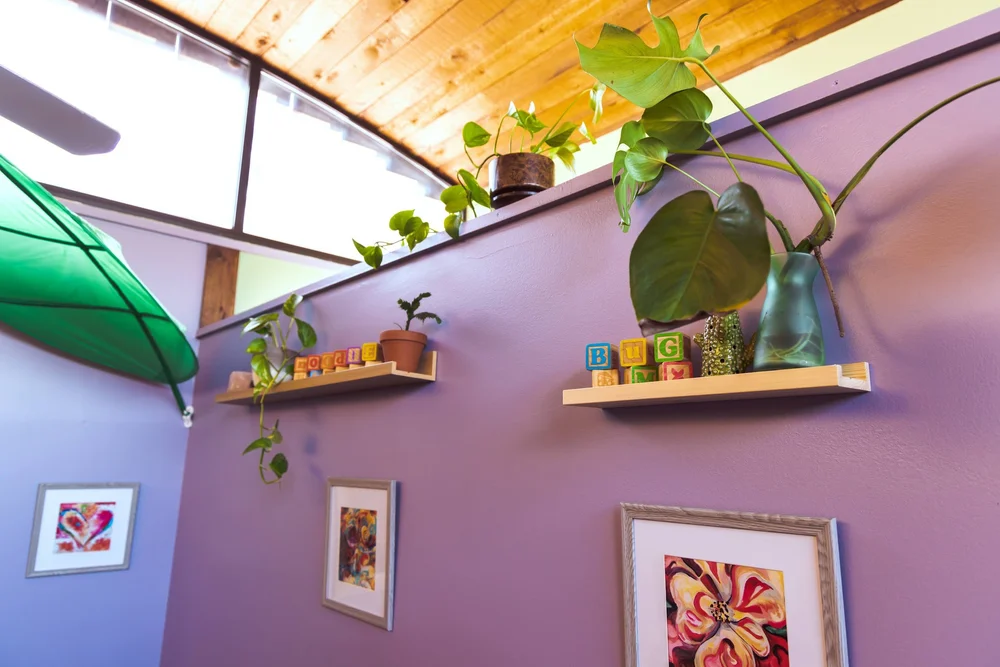 Plants and Doodle Bugs letter blocks on shelves in our classroom