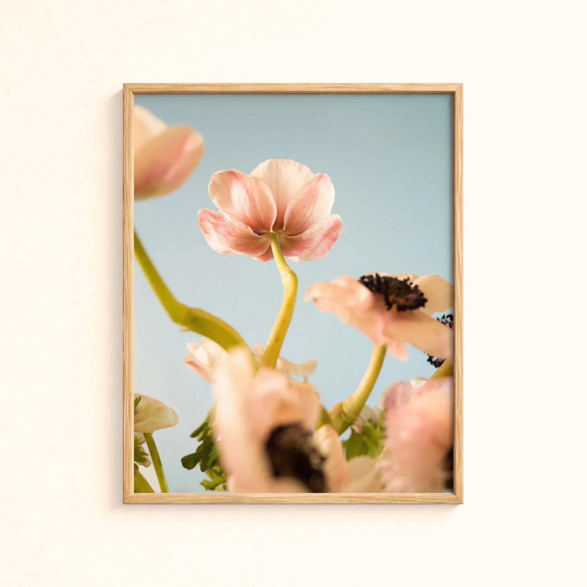 anemone-frame-mockup2-warmwall.jpg