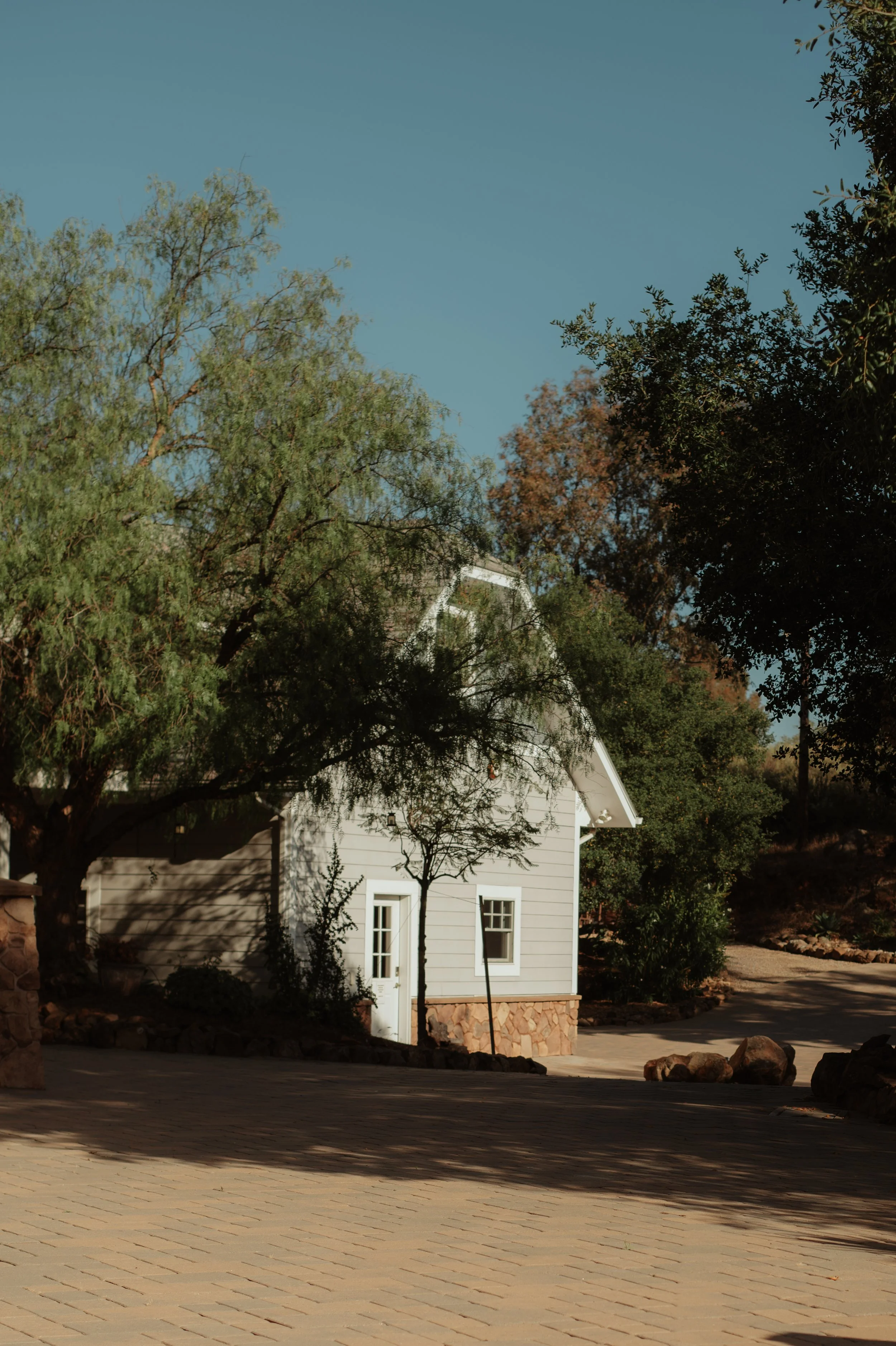 DSC_6540.JPEG