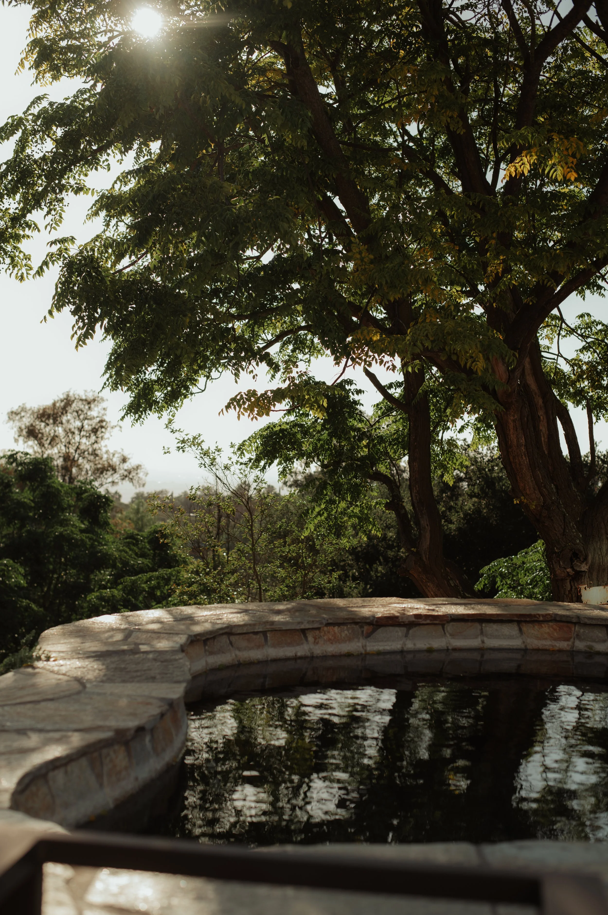 DSC_6543.JPEG