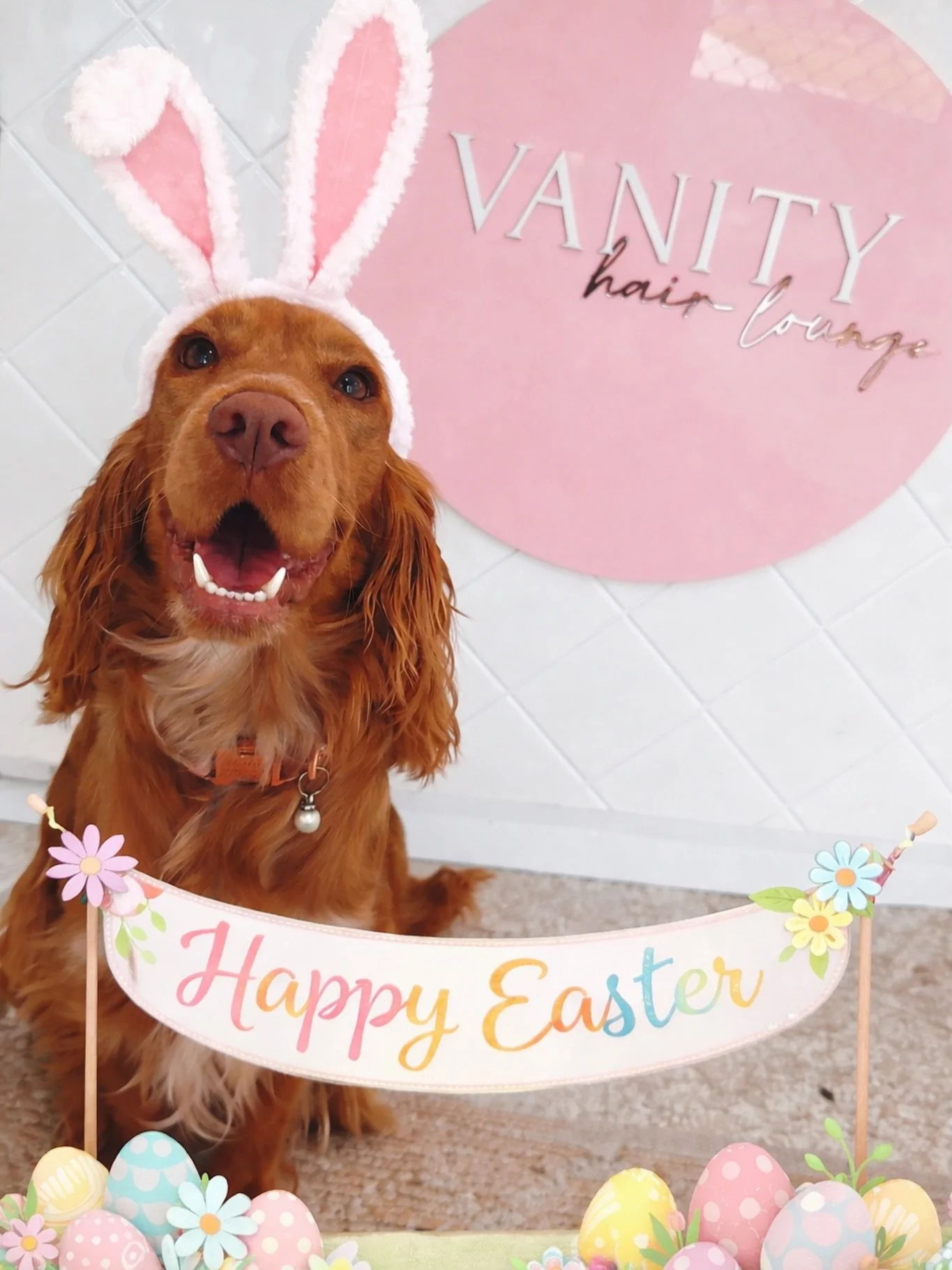 Happy Easter 🐣 🐰🍫

Wishing everyone a safe and happy Easter filled with love,family and way too much chocolate!! 

Much love, Teneale, Mikaela and baby Lil xx