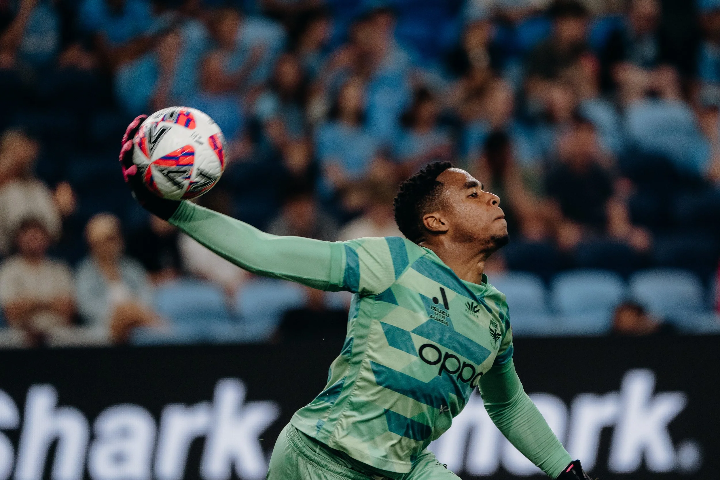 Sydneyfc-11.jpeg