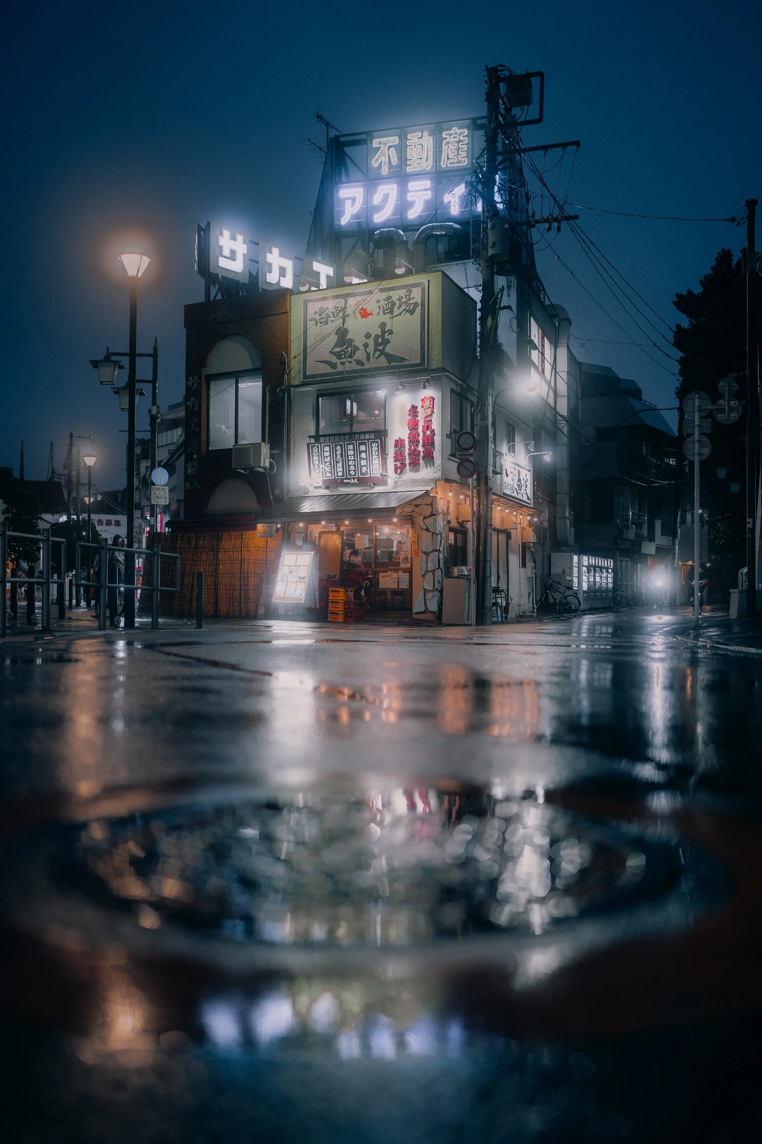 DSC08971.jpeg