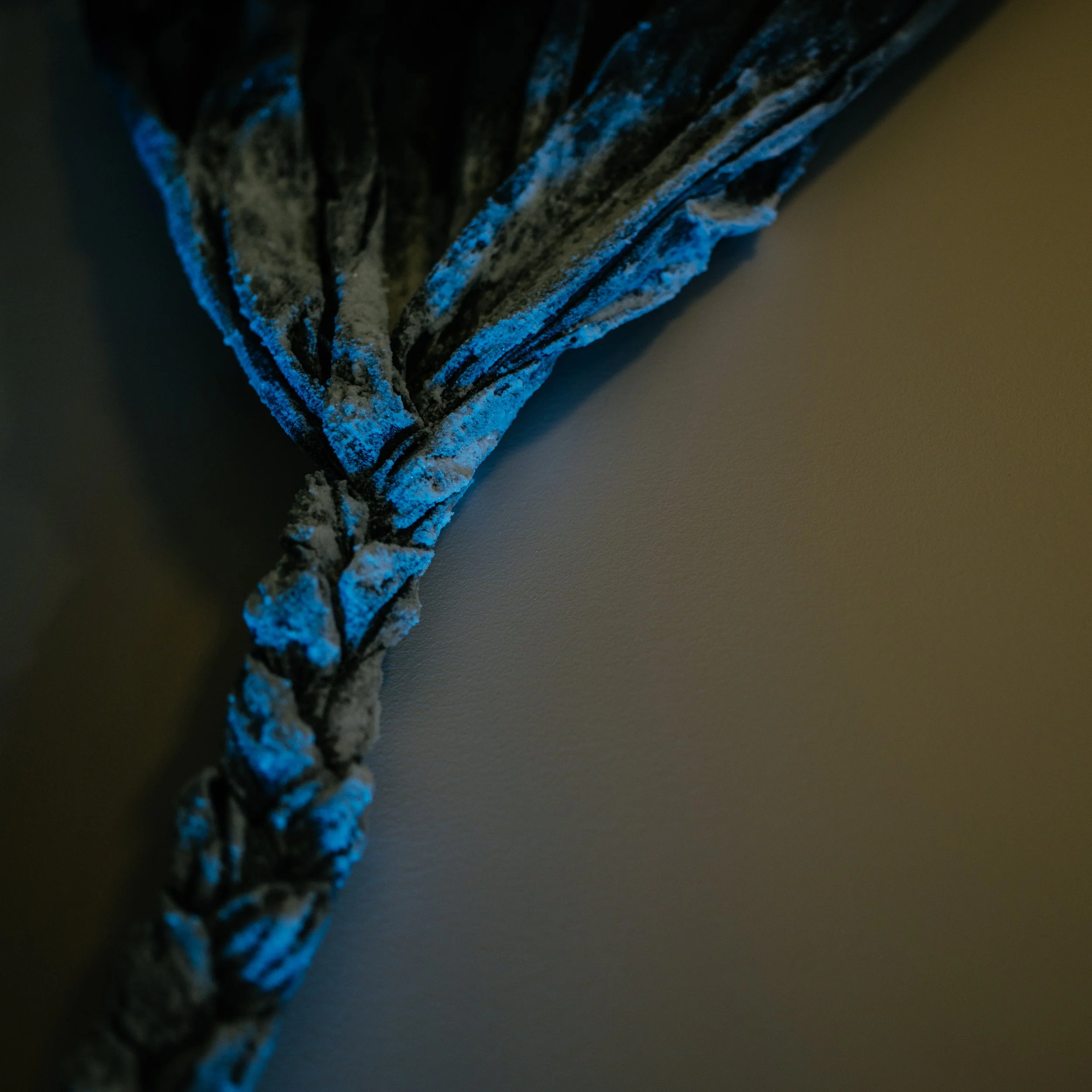 Lamentations - Tadpole Series 2024