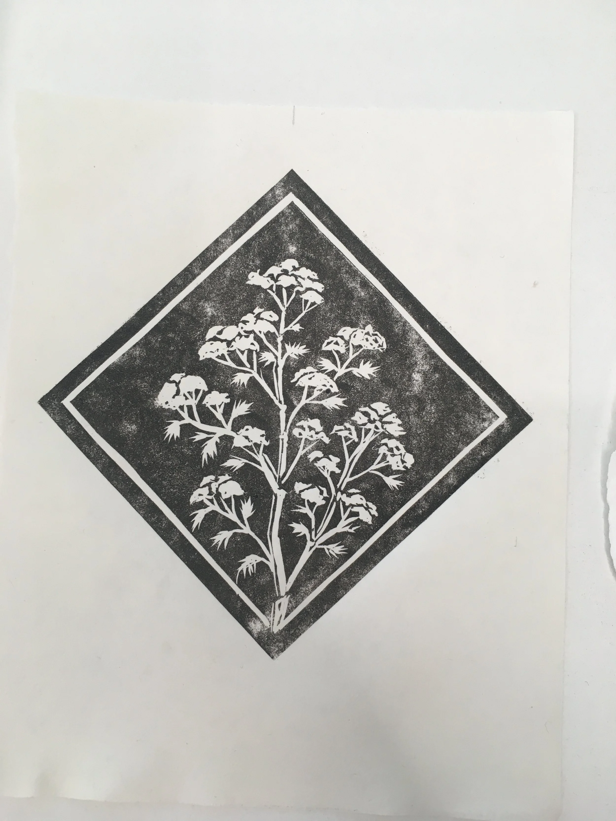 10_Central Library Residency_2022.JPG