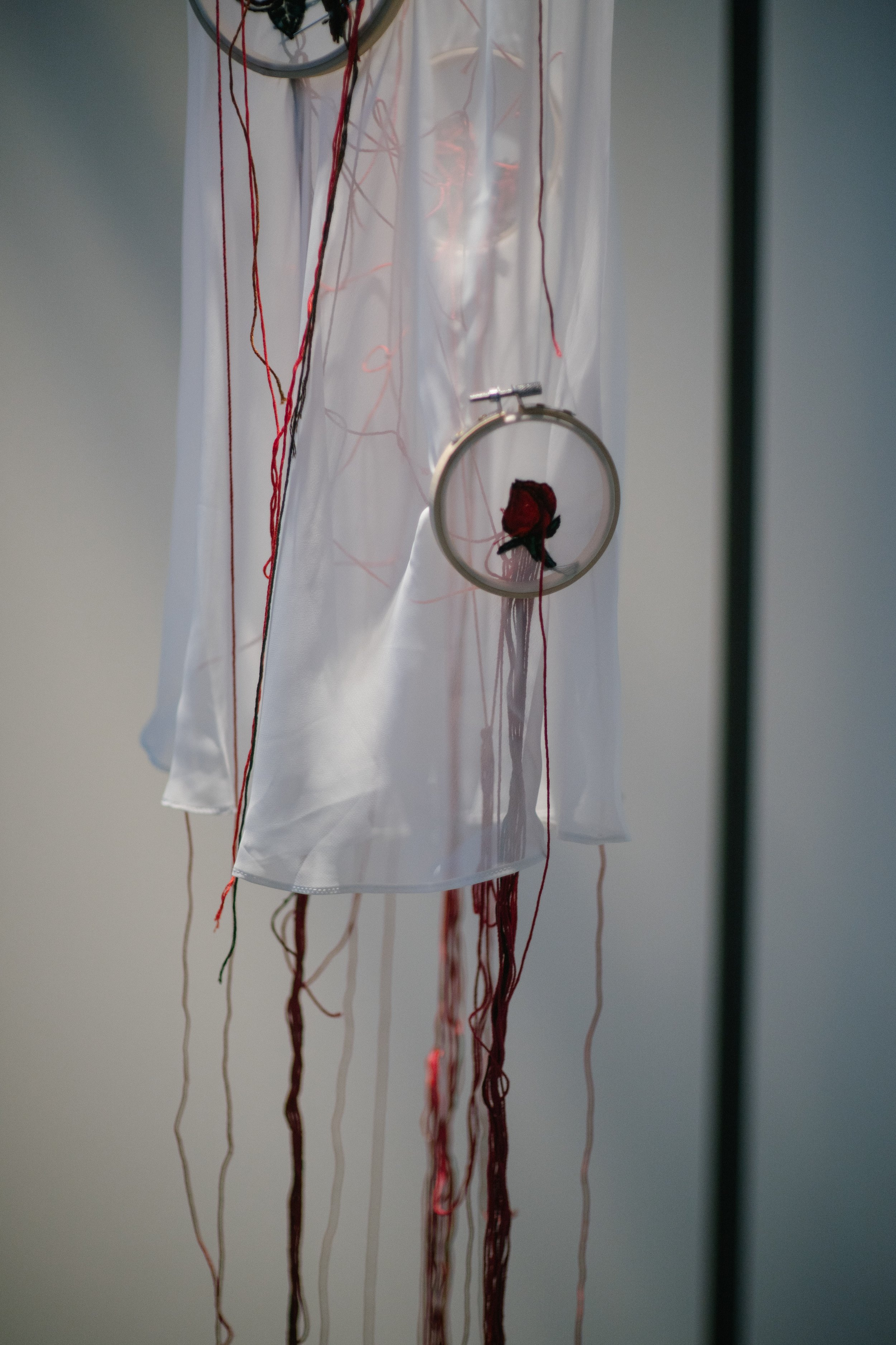 Lamentations - Tadpole Series 2024