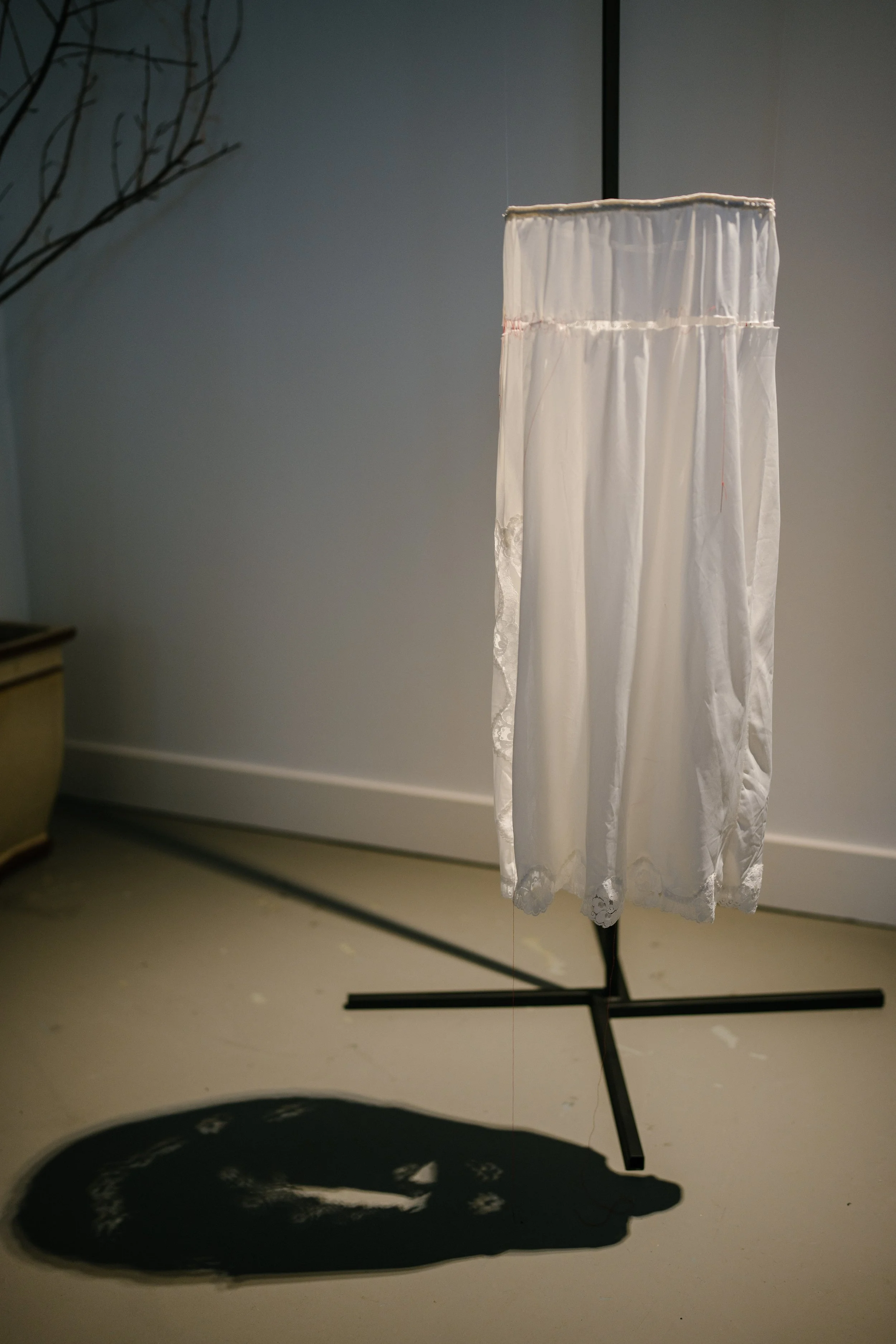 Lamentations - Tadpole Series 2024