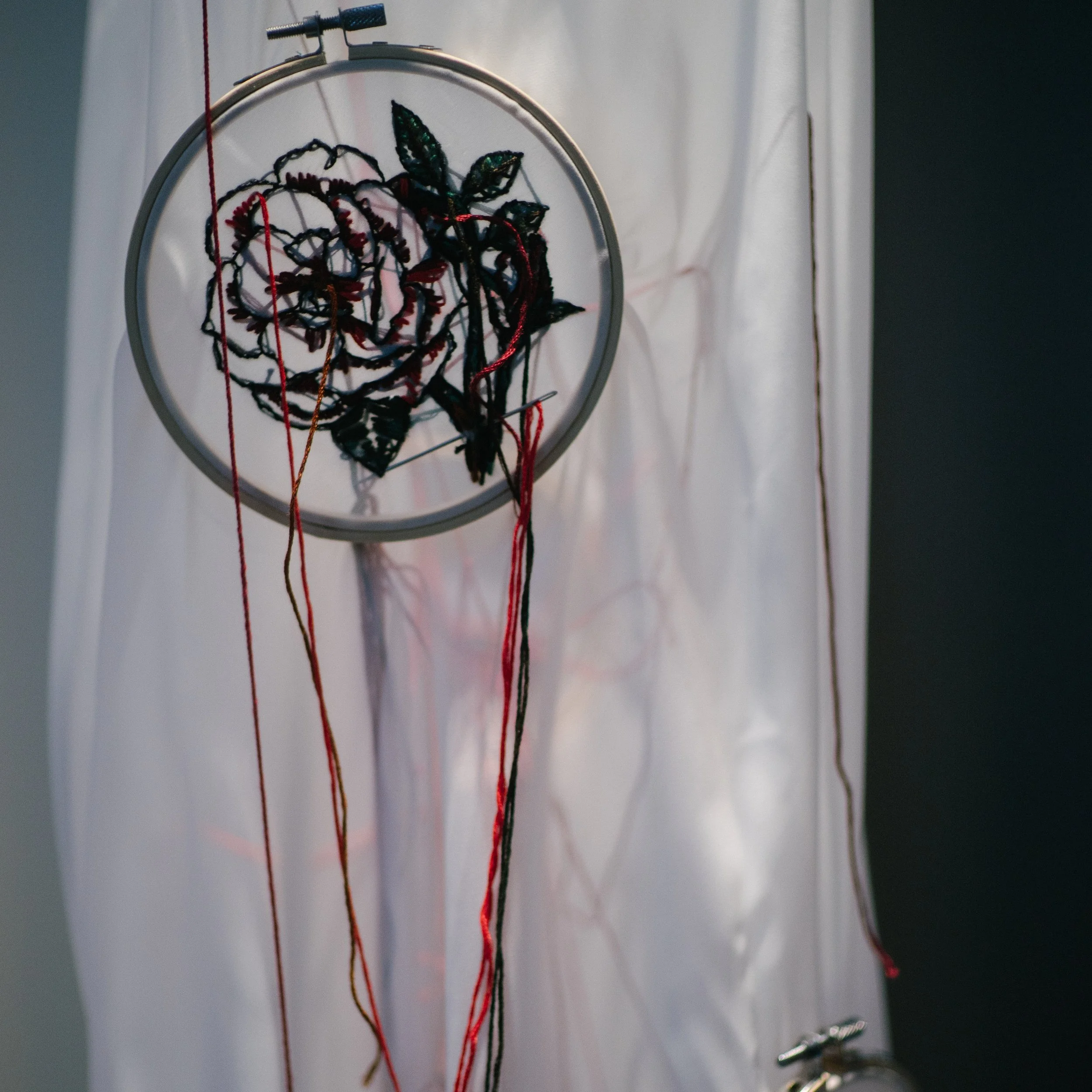 Lamentations - Tadpole Series 2024