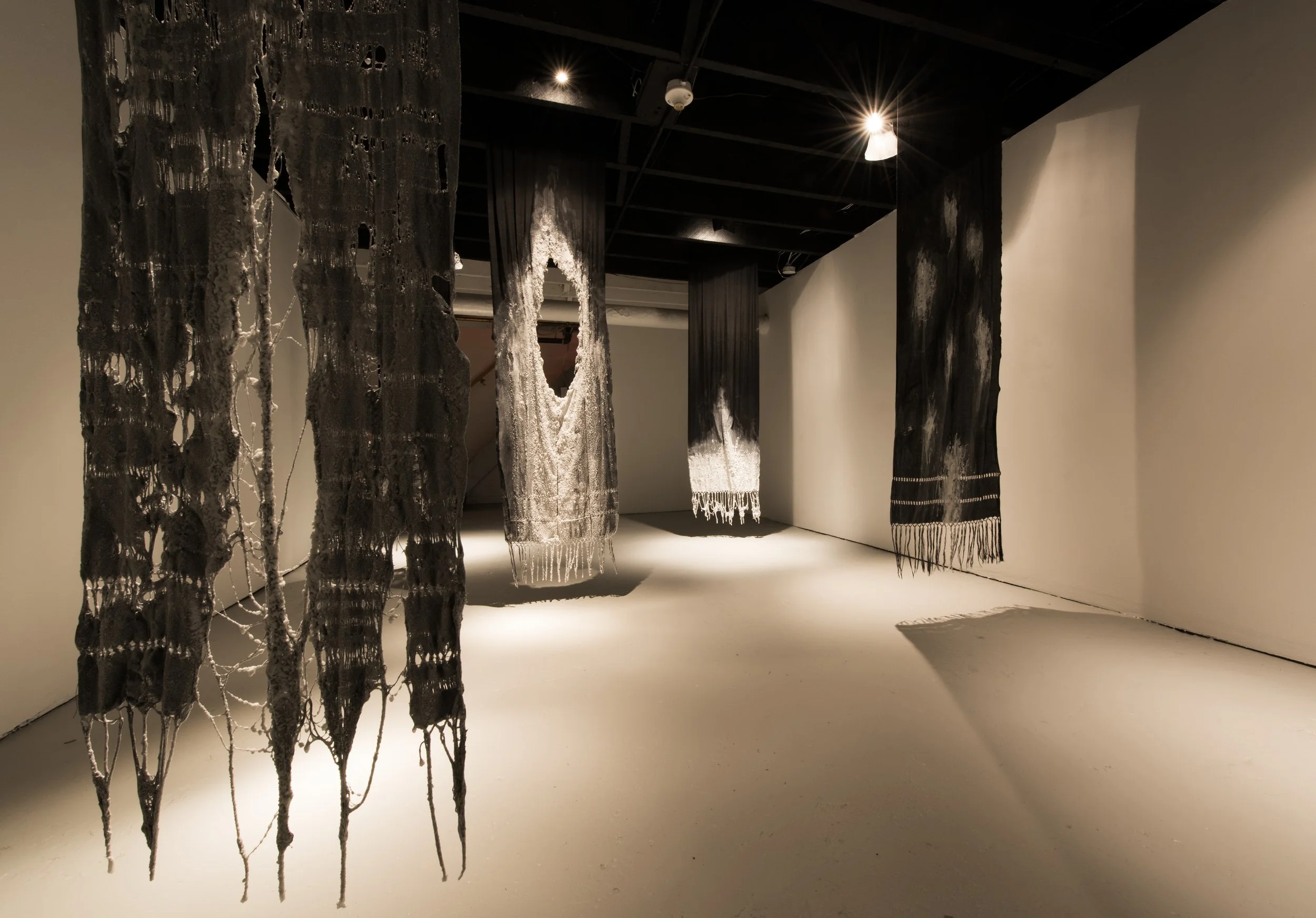 Shroud, Crown, Grey Area, Generations 2021