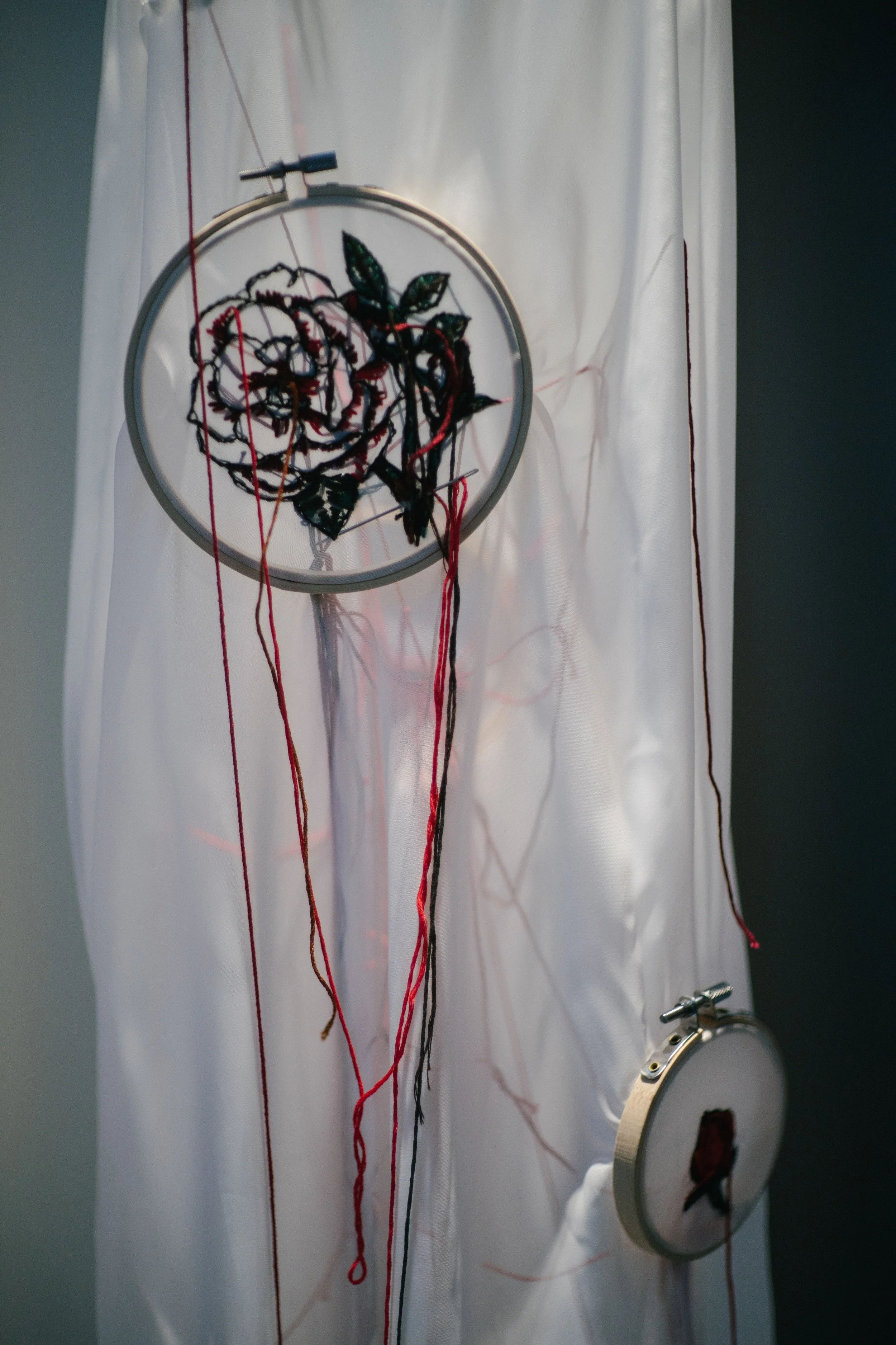 Lamentations - Tadpole Series 2024