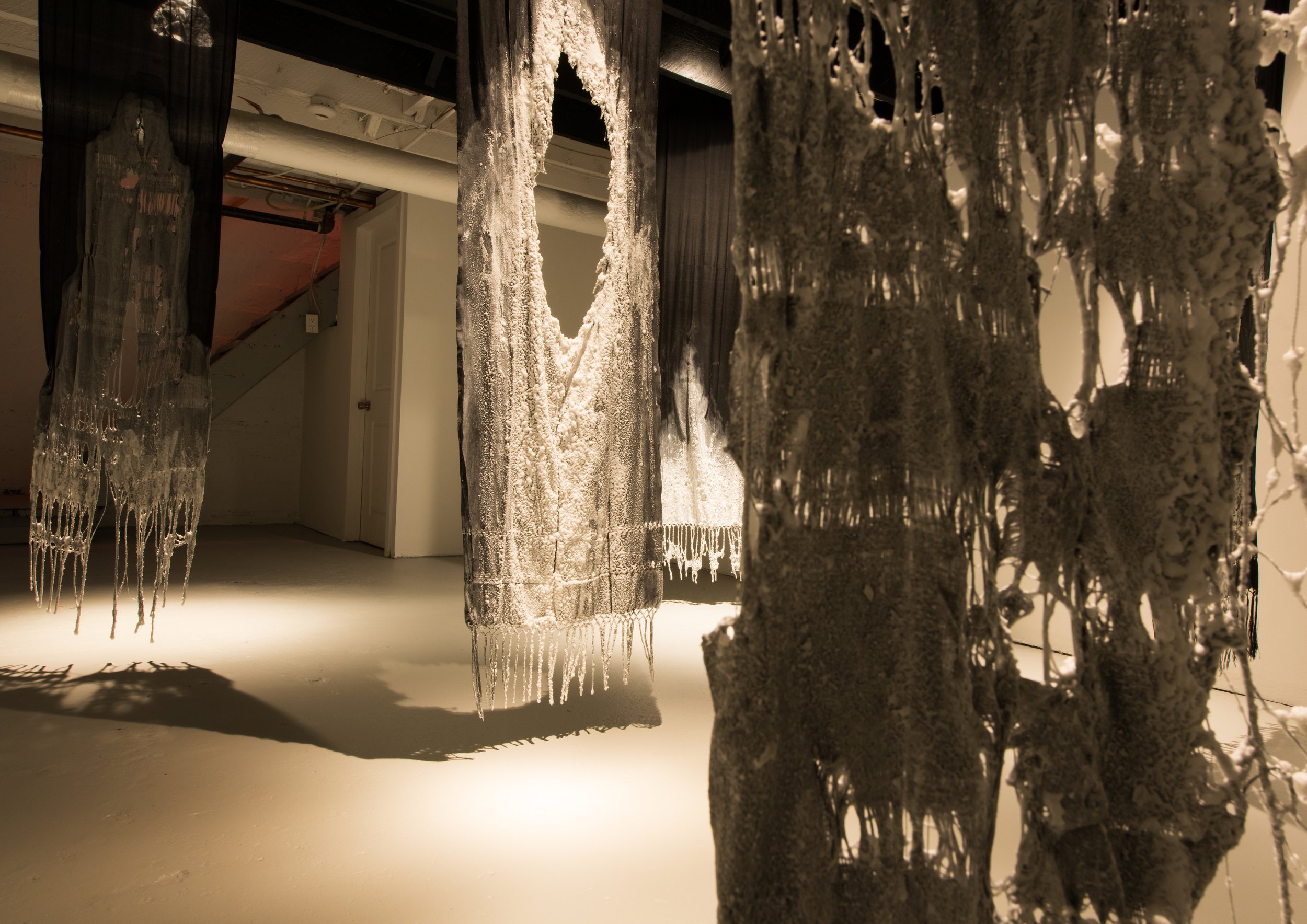 Shroud, Crown, Grey Area, Generations 2021