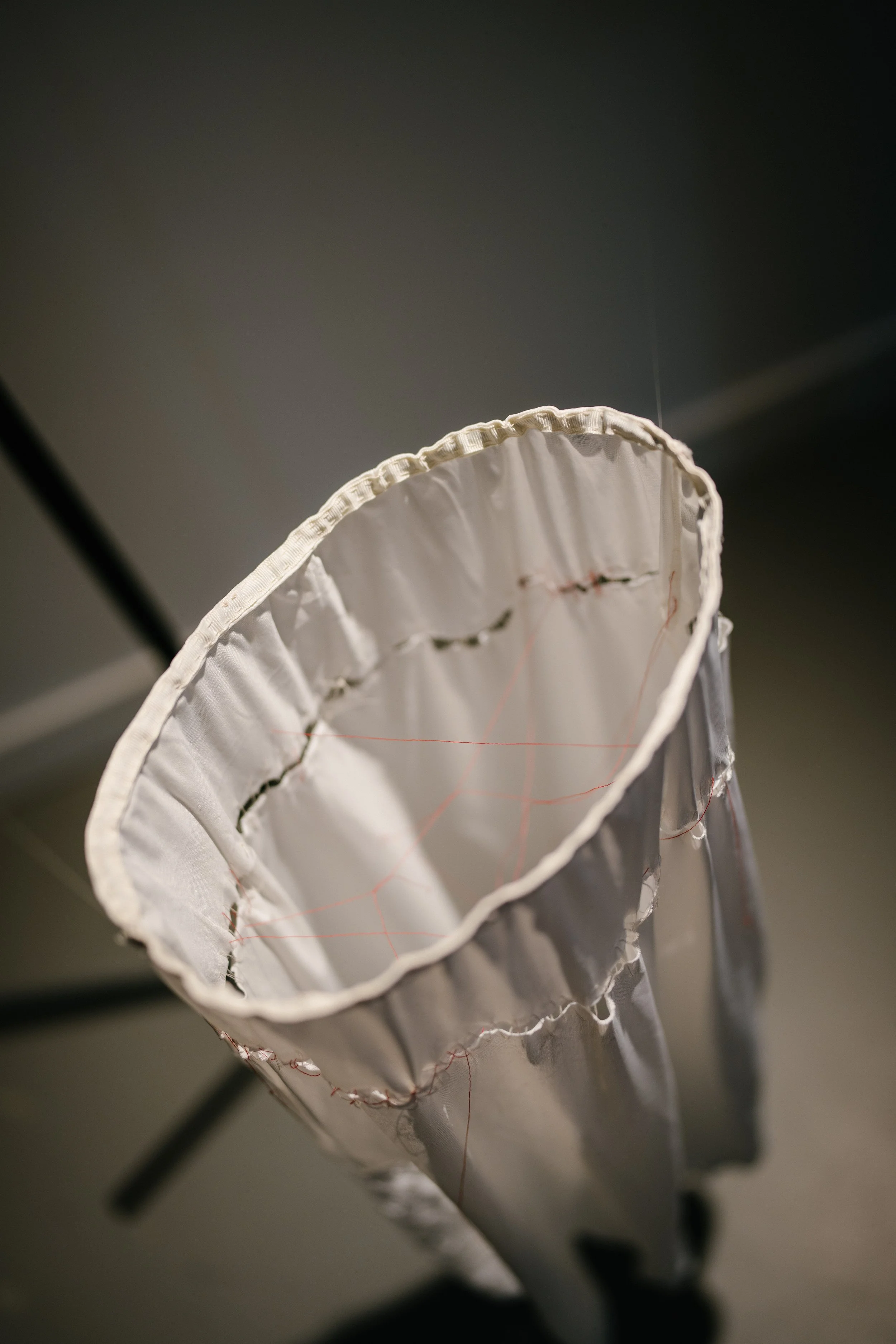 Lamentations - Tadpole Series 2024