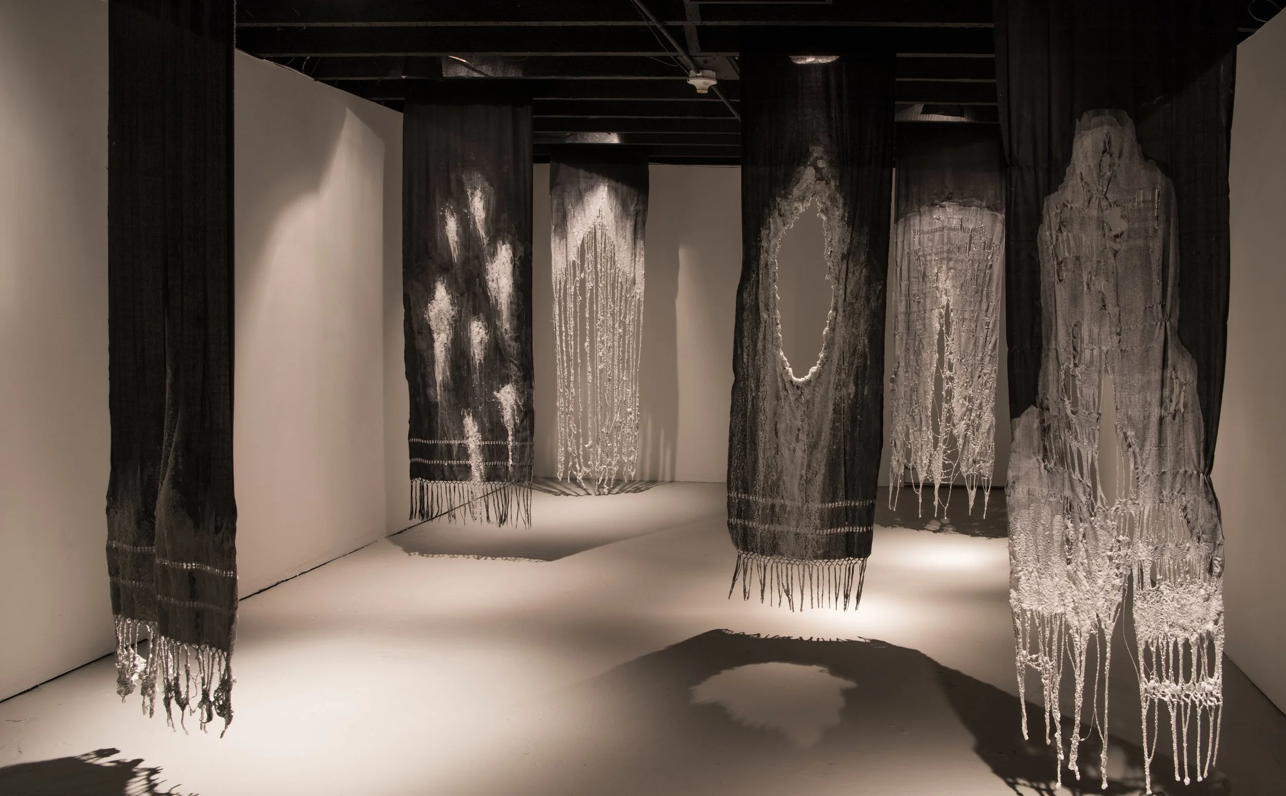 Shroud, Crown, Grey Area, Generations 2021