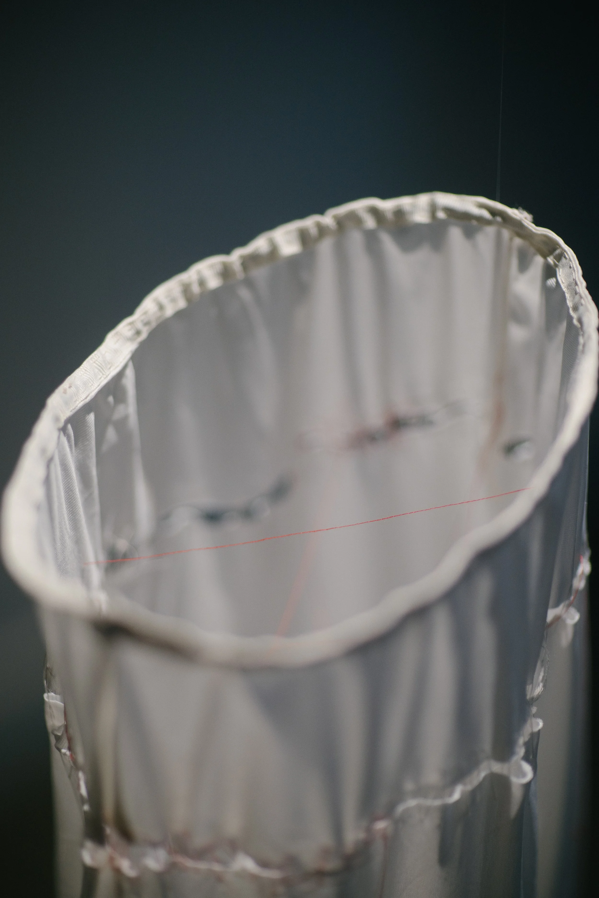 Lamentations - Tadpole Series 2024