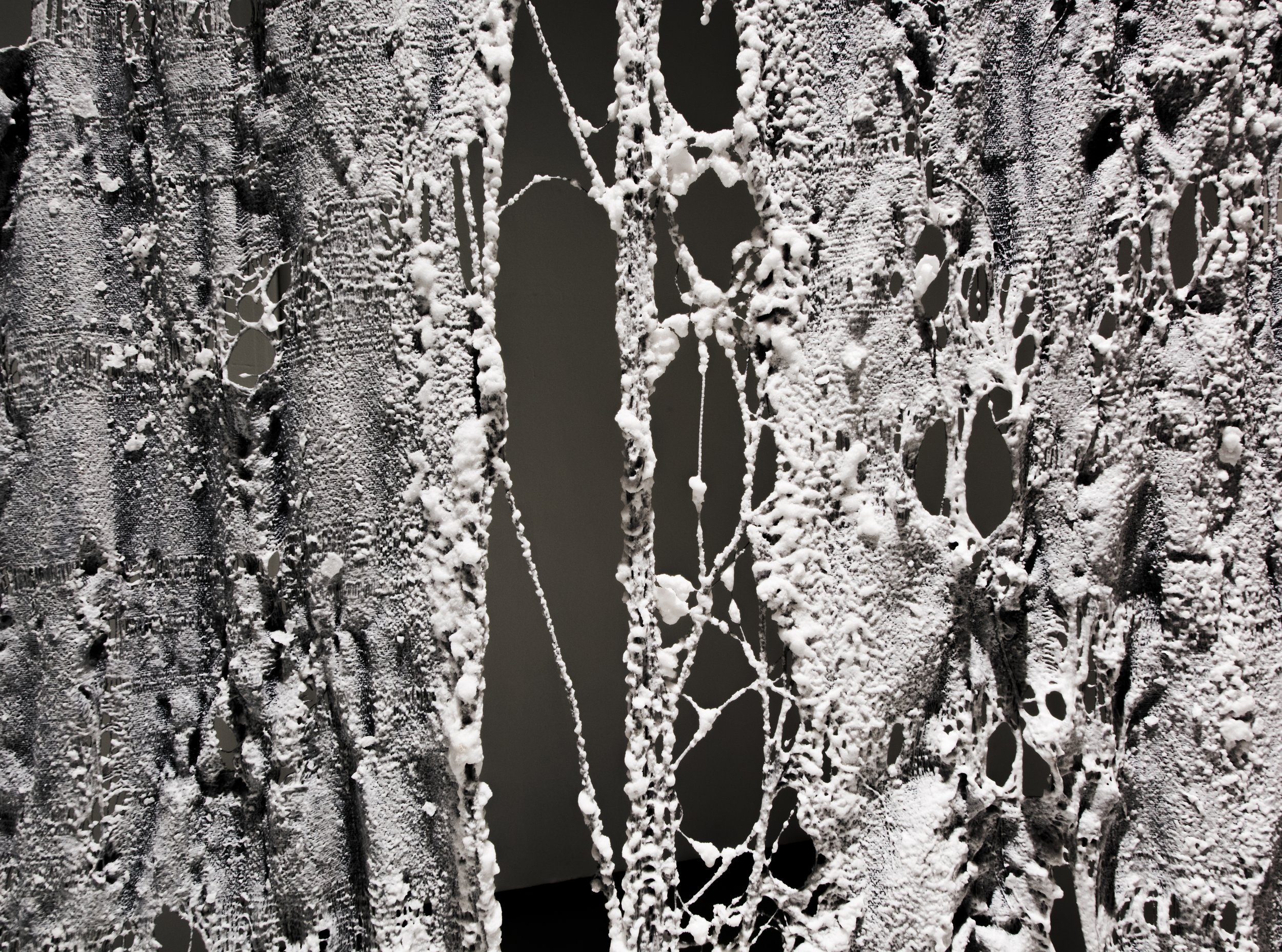 Shroud, Crown, Grey Area, Generations 2021