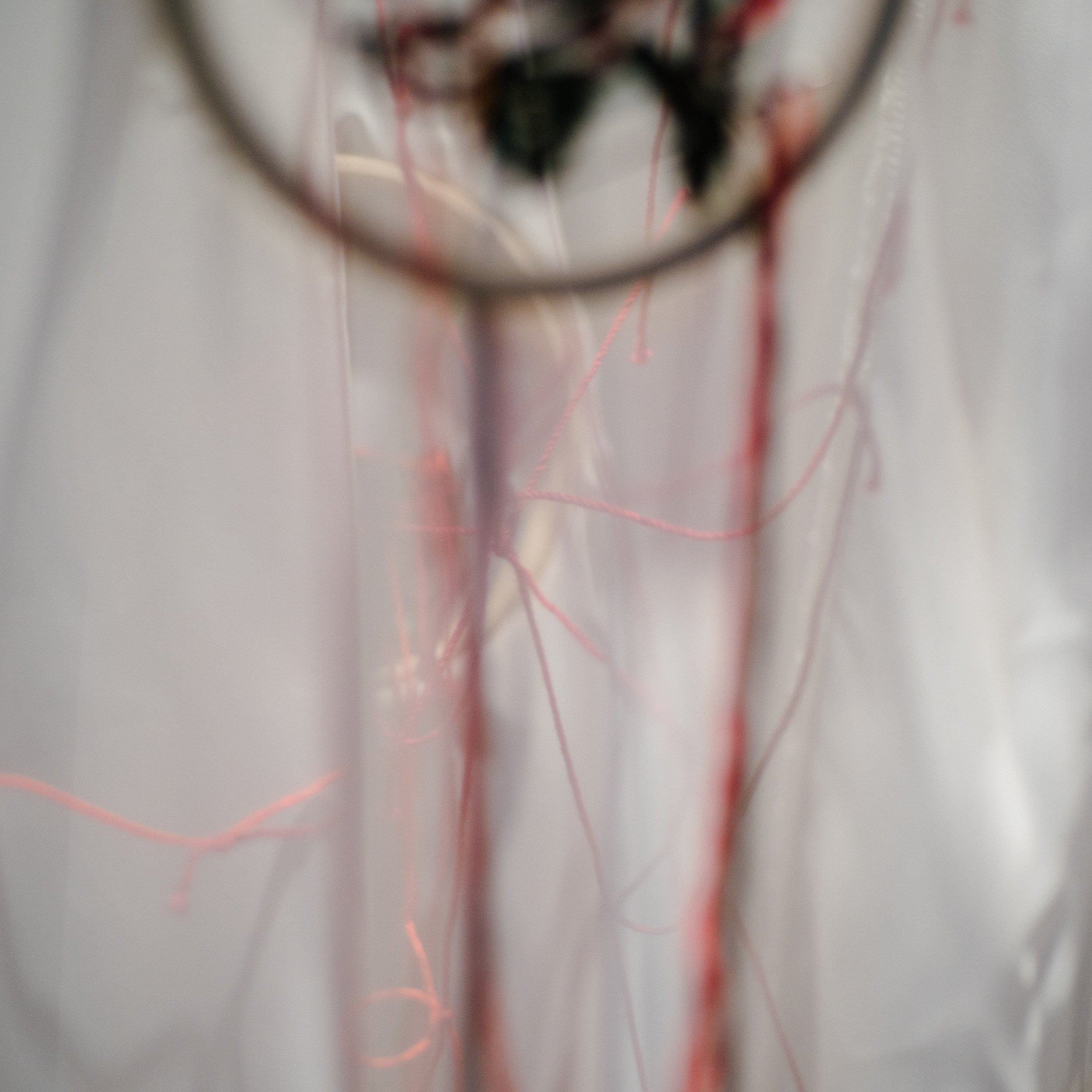 Lamentations - Tadpole Series 2024