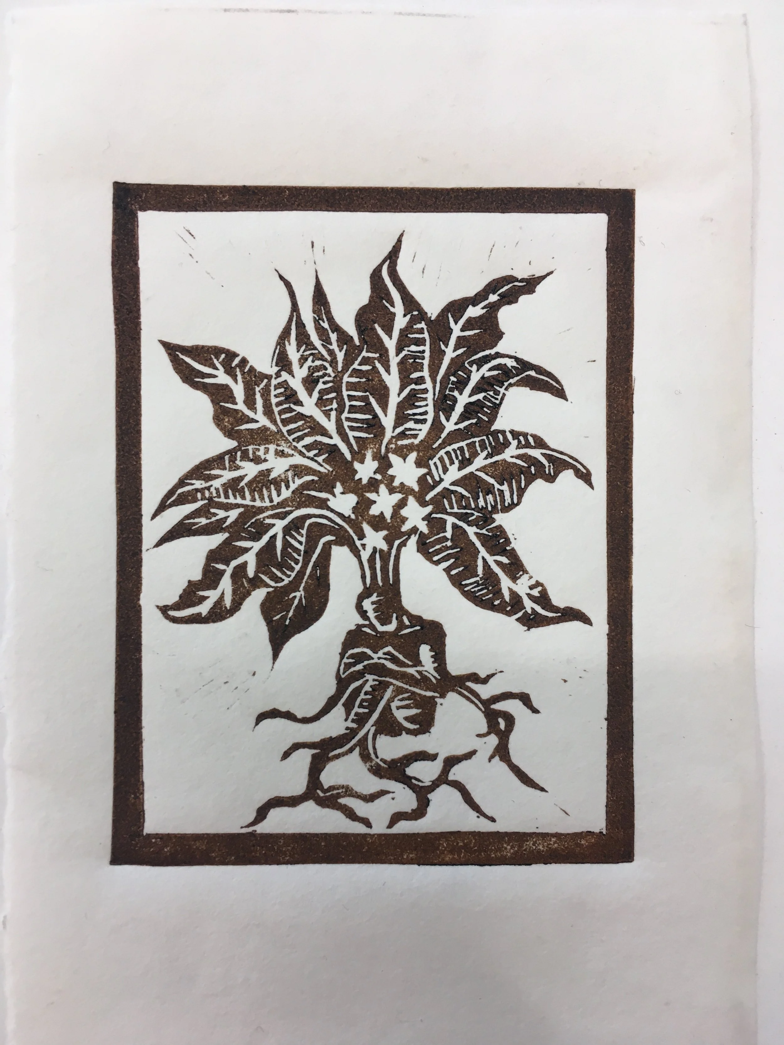 09_Central Library Residency_2022.JPG