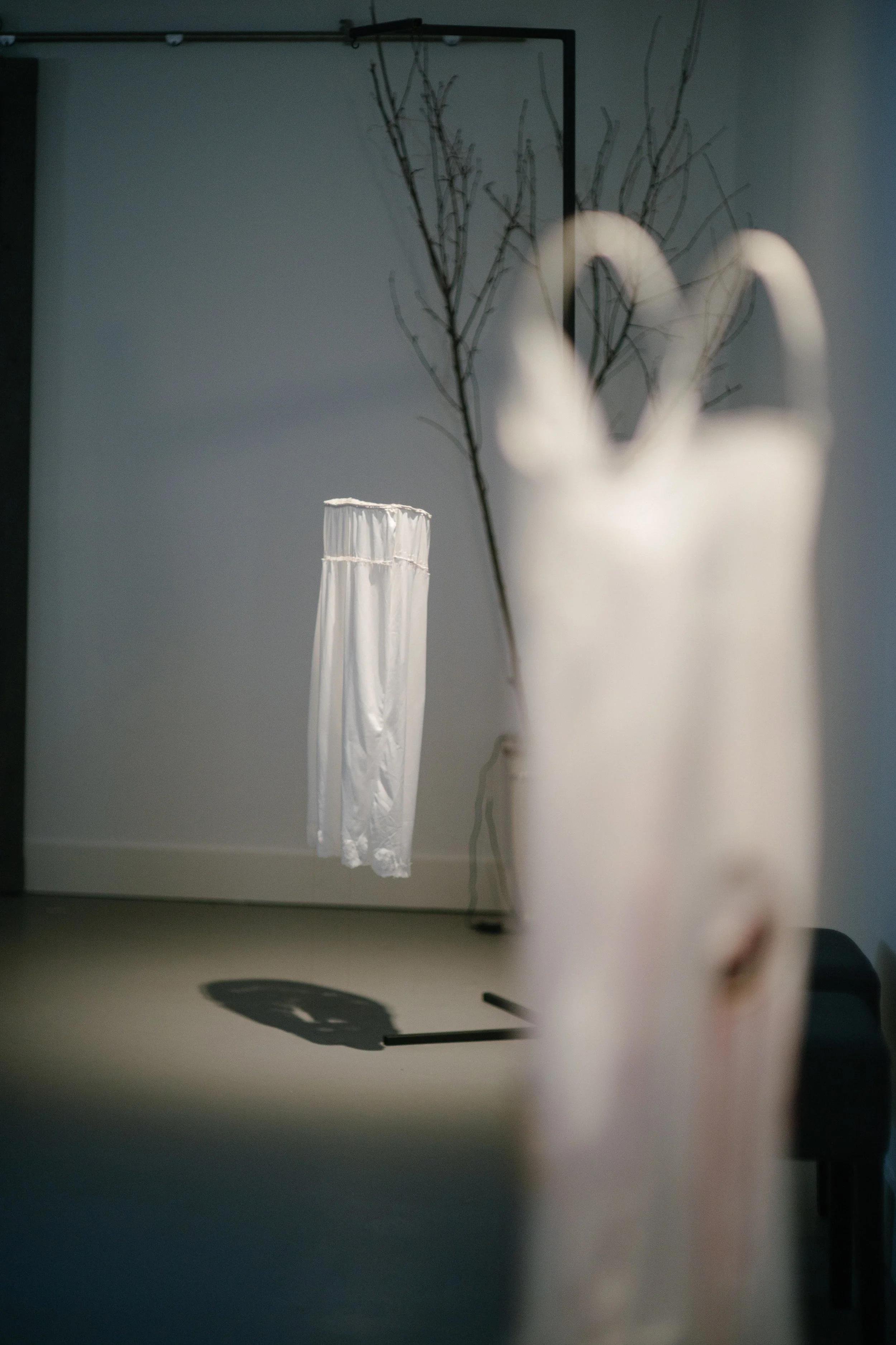 Lamentations - Tadpole Series 2024