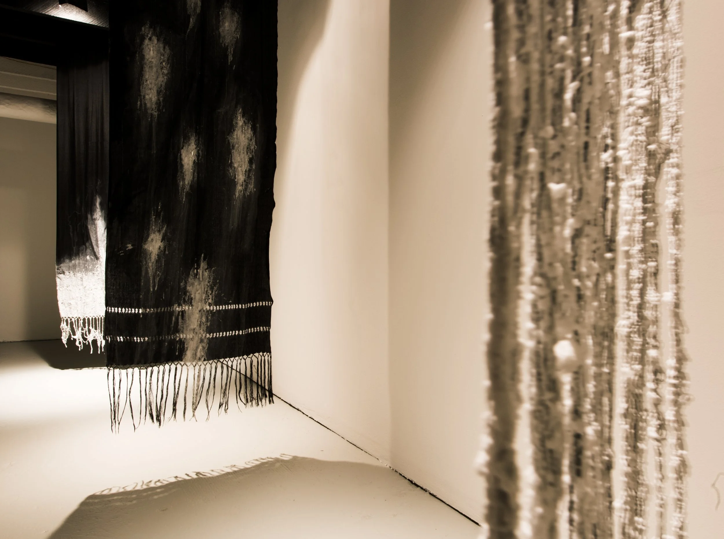 Shroud, Crown, Grey Area, Generations 2021