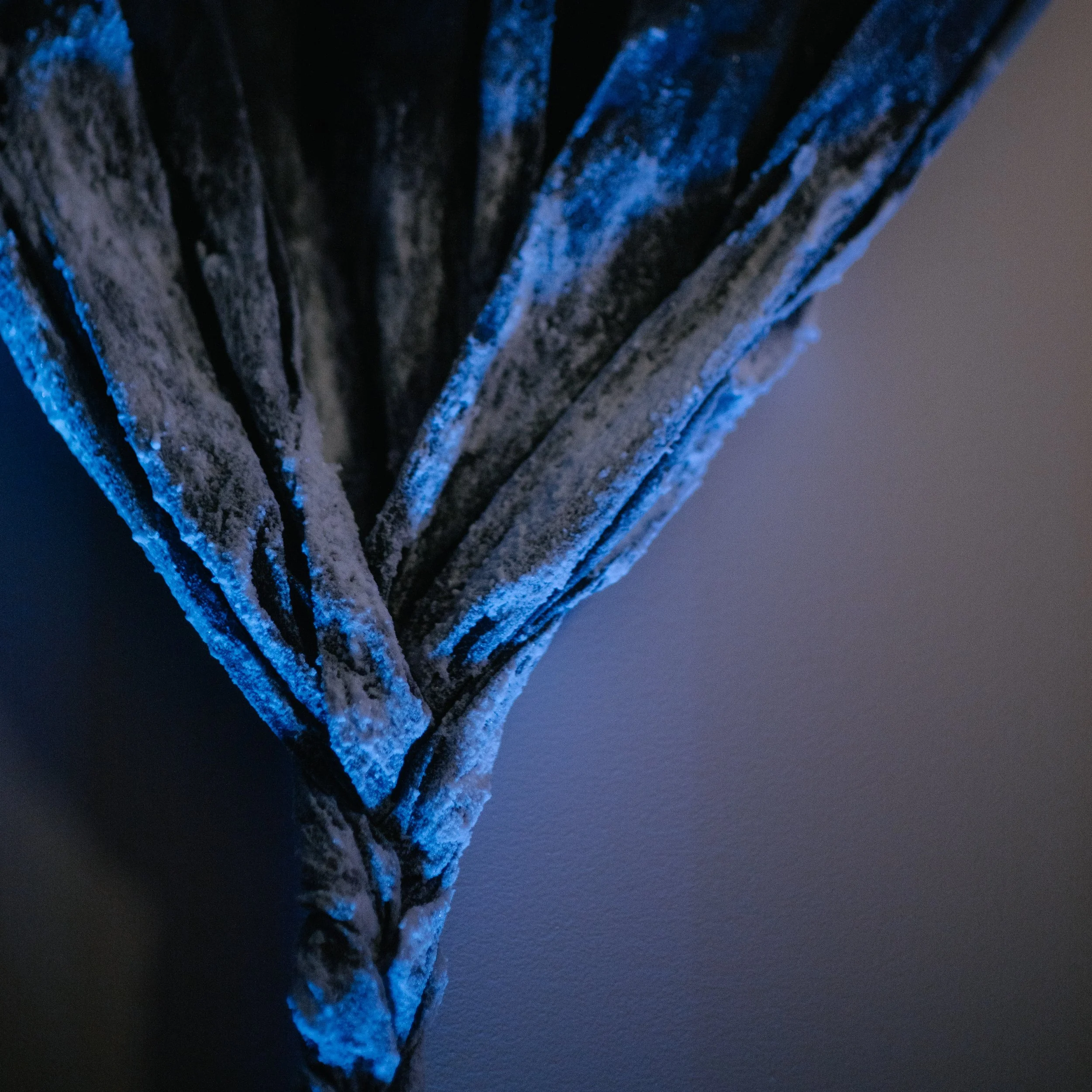 Lamentations - Tadpole Series 2024