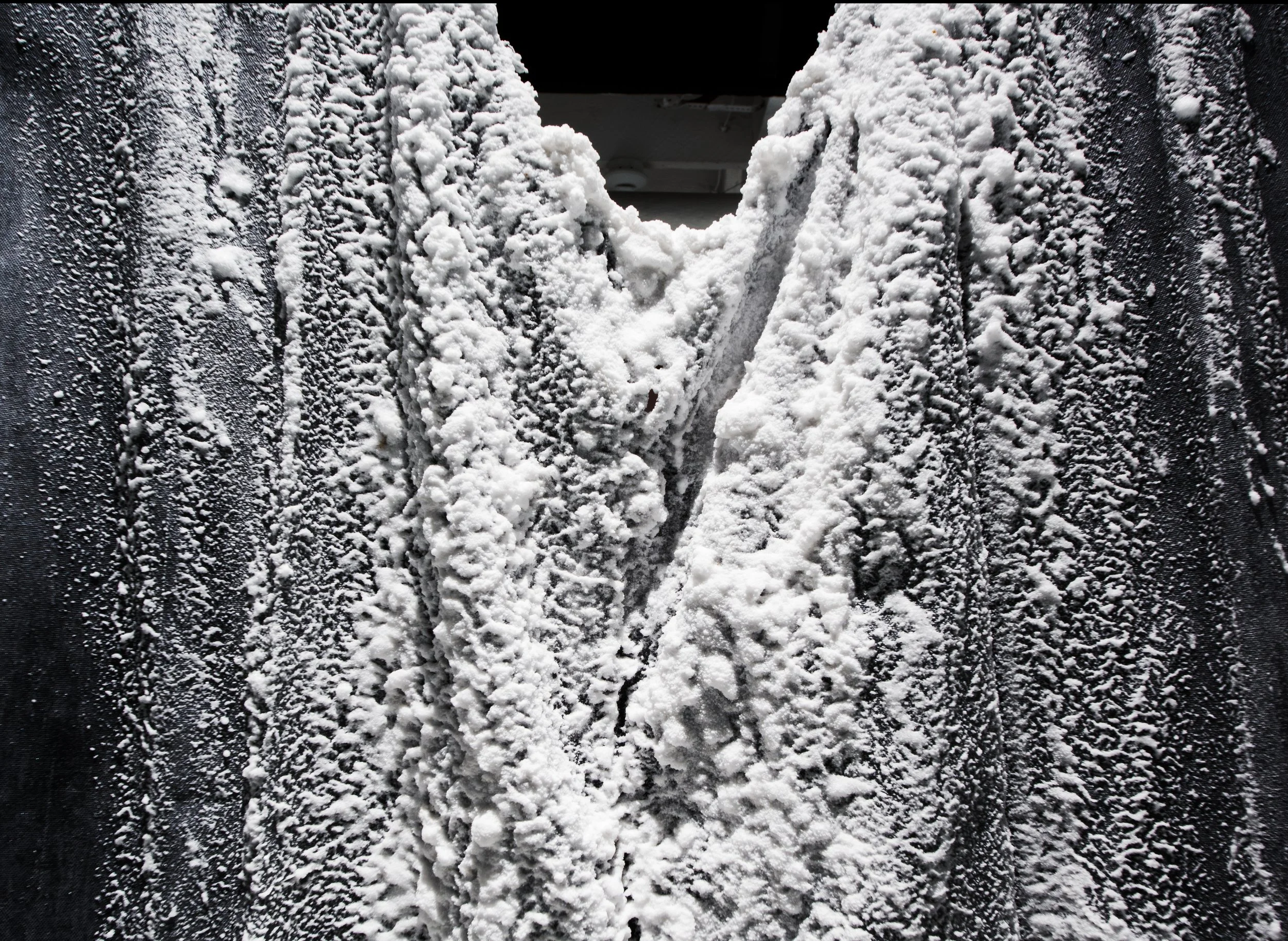 Shroud, Crown, Grey Area, Generations 2021