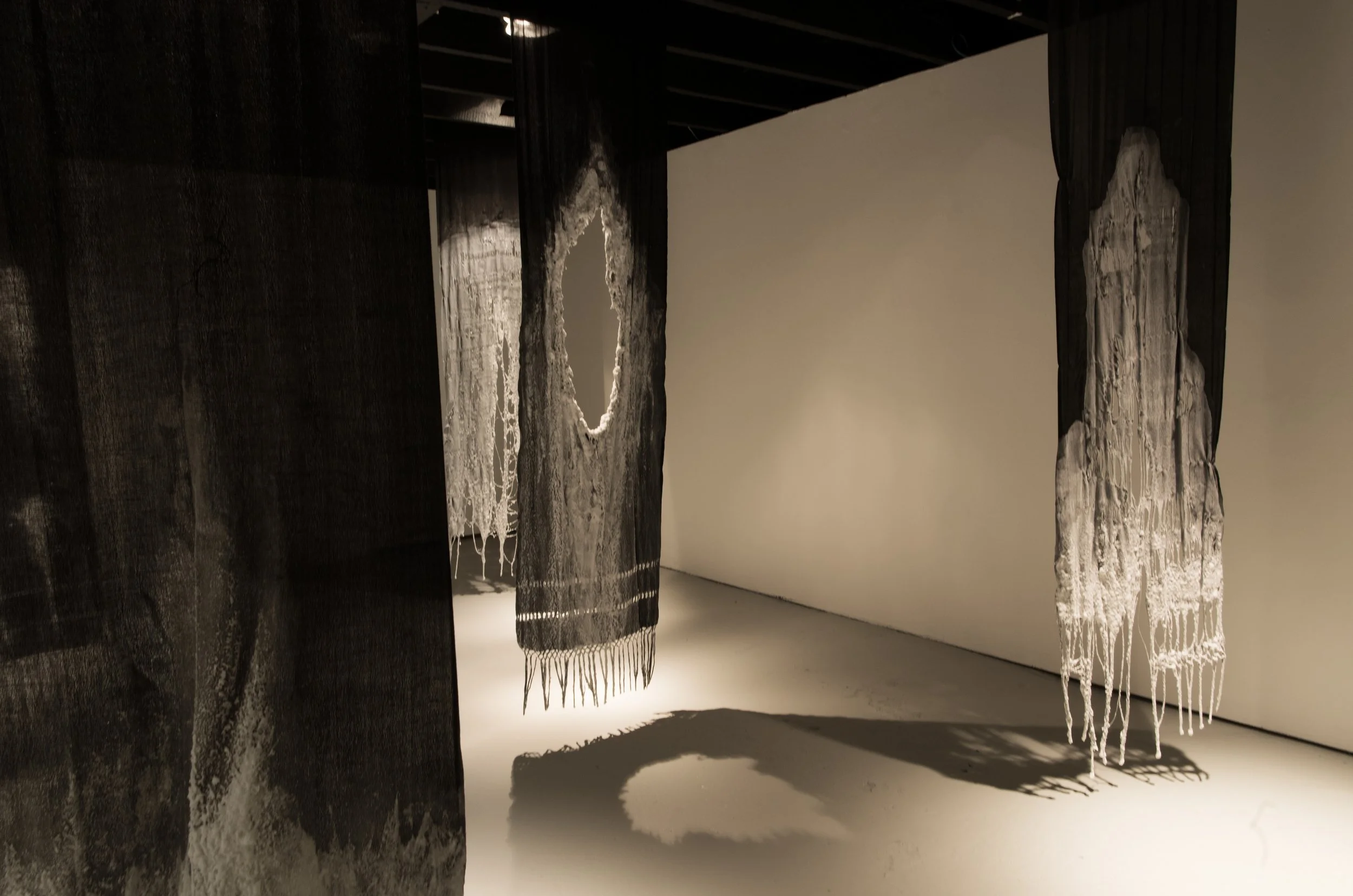 Shroud, Crown, Grey Area, Generations 2021