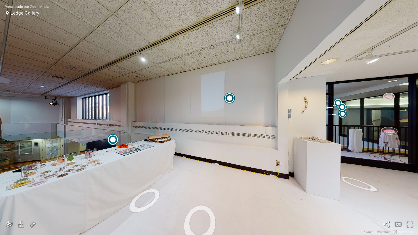 Ledge Gallery 360 tour_03.png