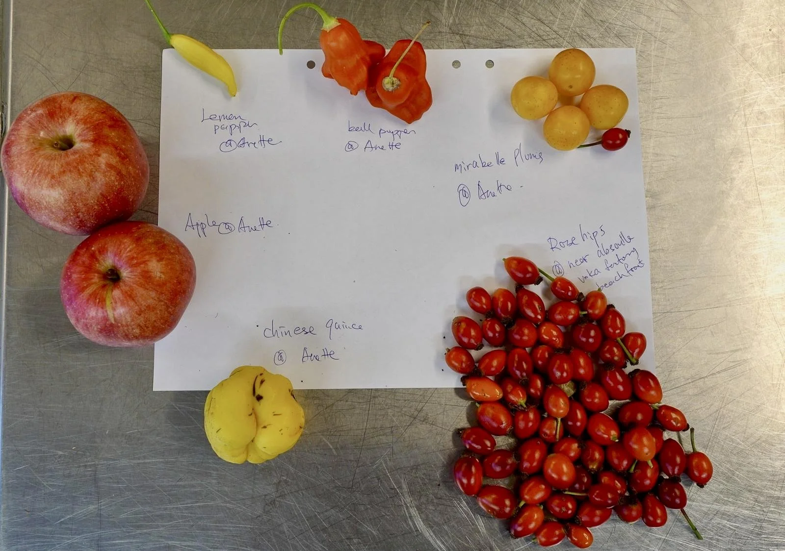 Turn Intention Into Action