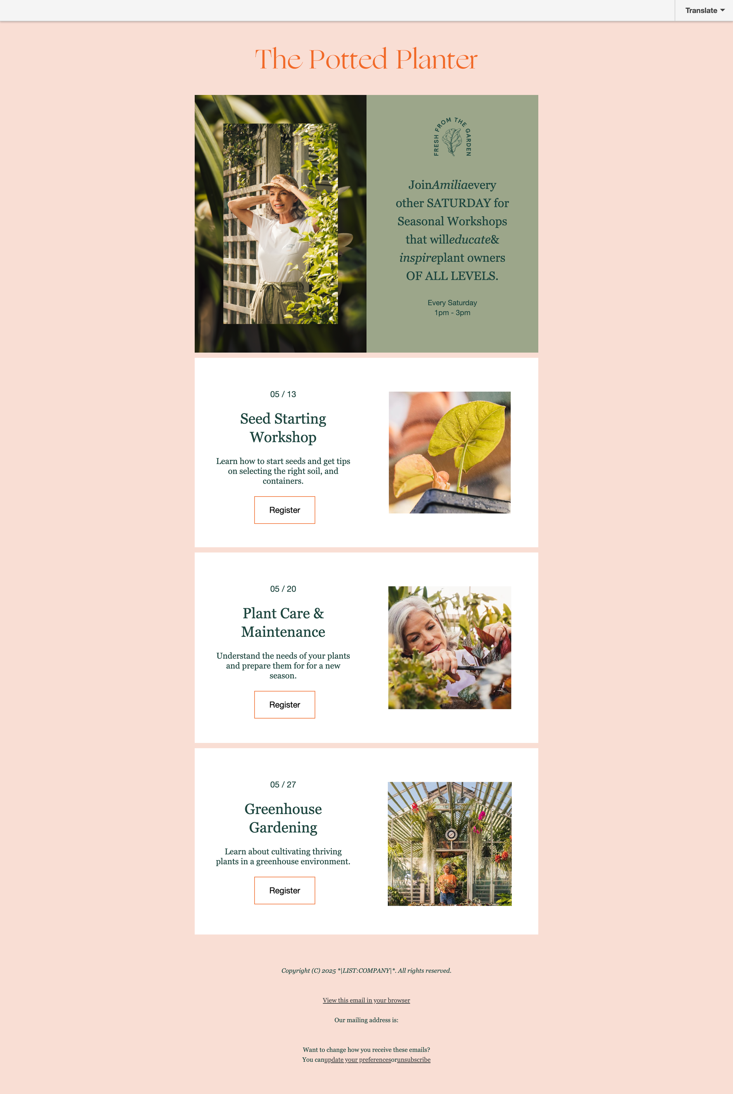 Potted Planter-campaign-archive-2025-08-04-12_13_08.png