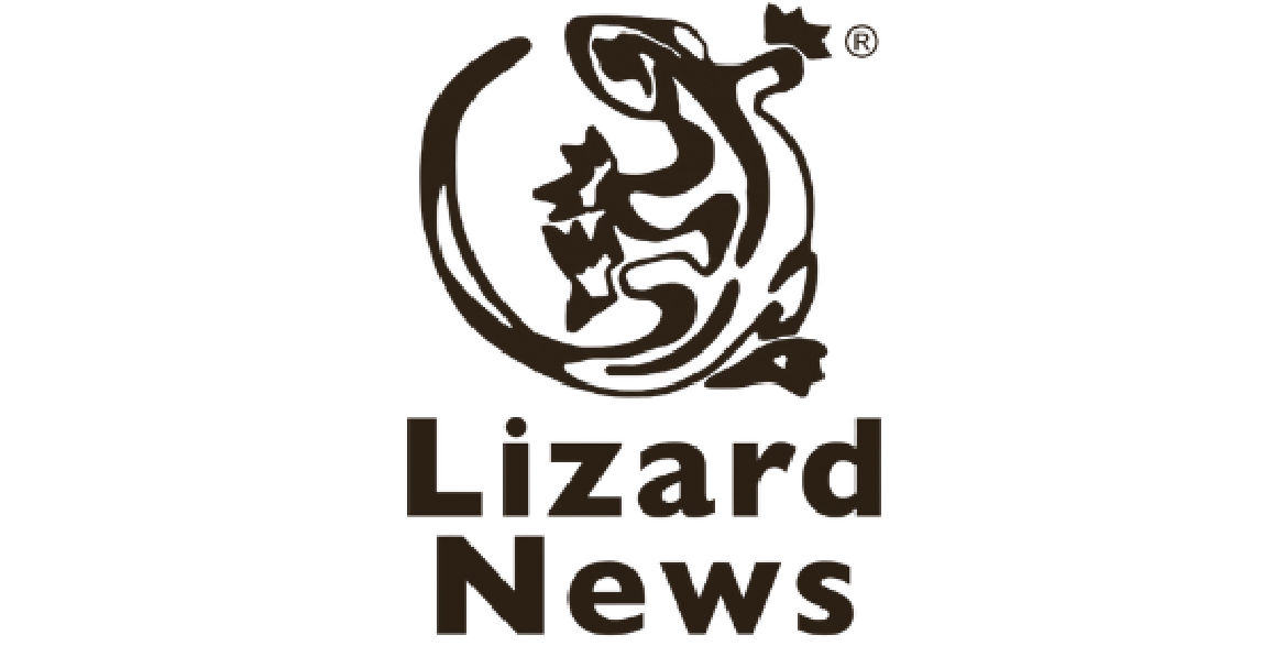 Lizard News.png