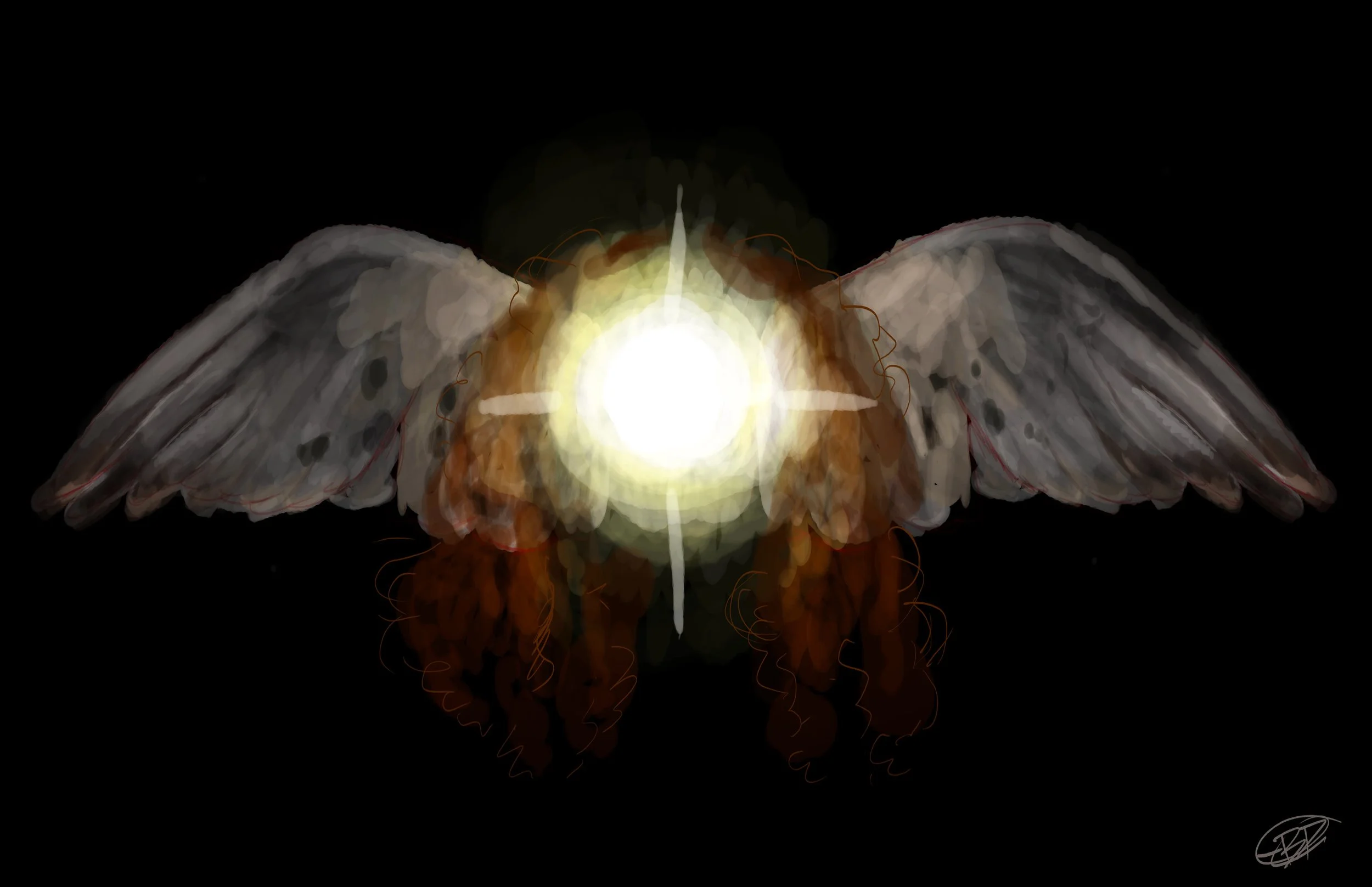 0C4D40BA-9FFC-4E1E-8C68-A89AE21C8984.jpeg