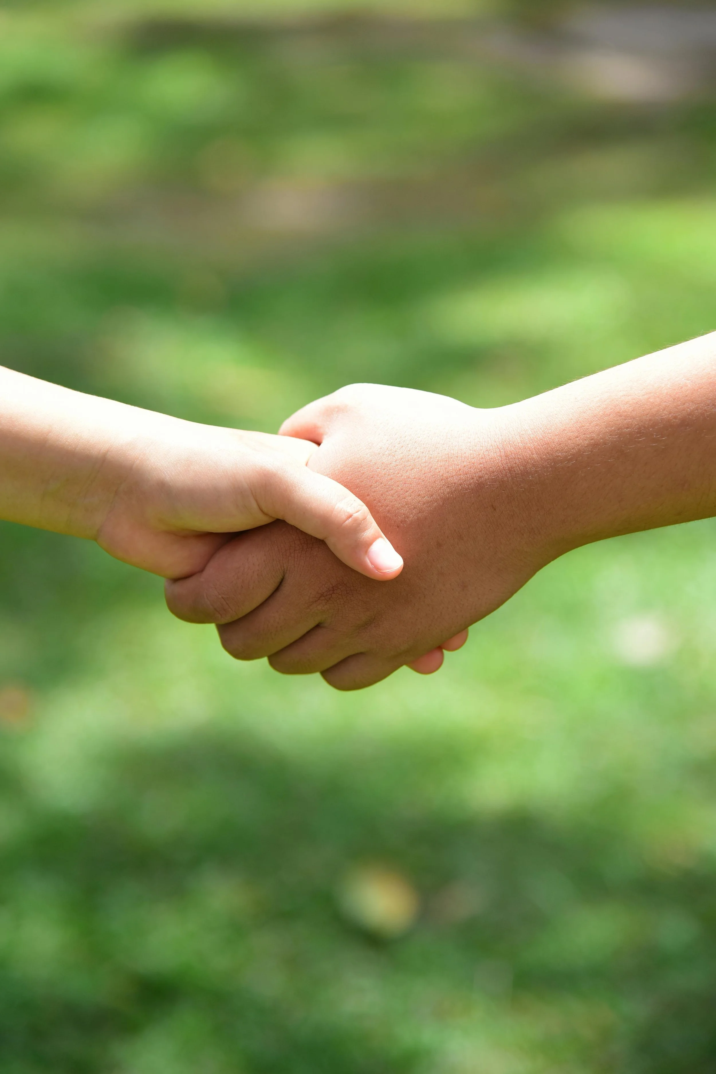 Organizations to Collaborate With