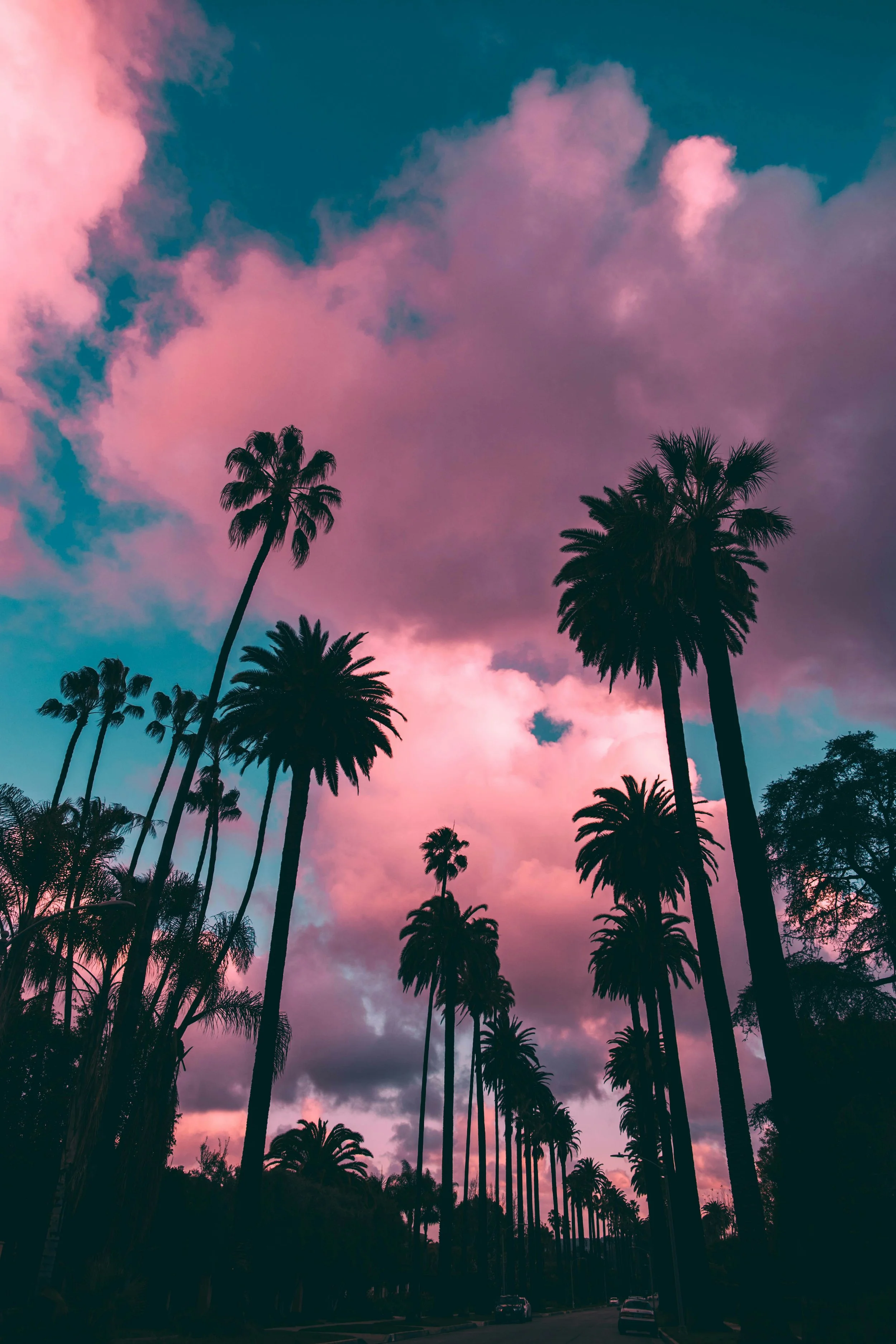 SEO for Law Firms Beverly Hills, CA