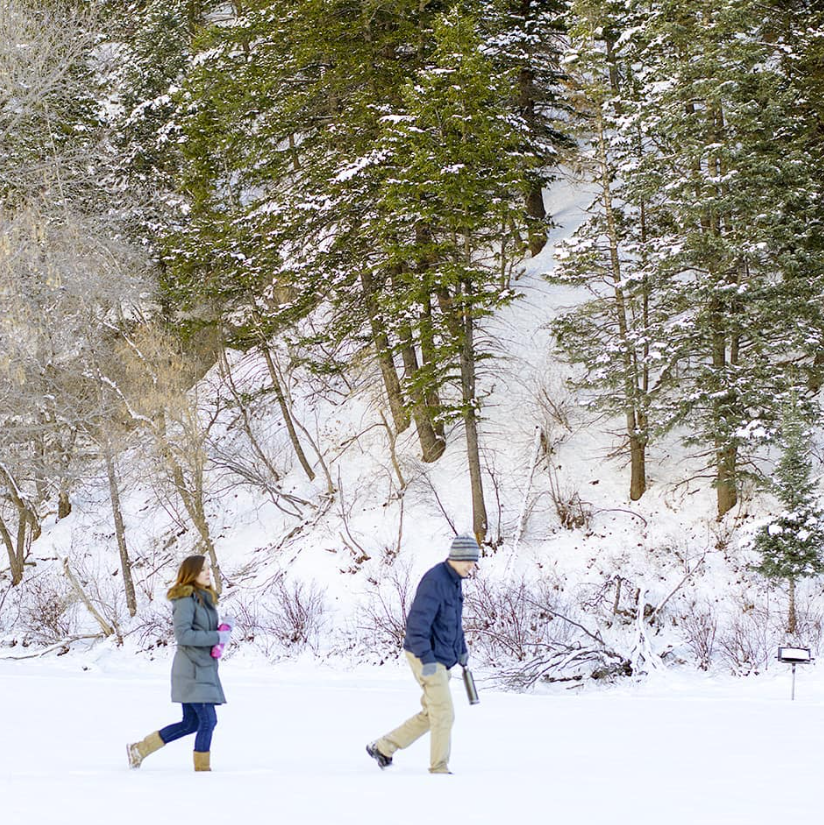 Screenshot 2025-12-17 213105.png