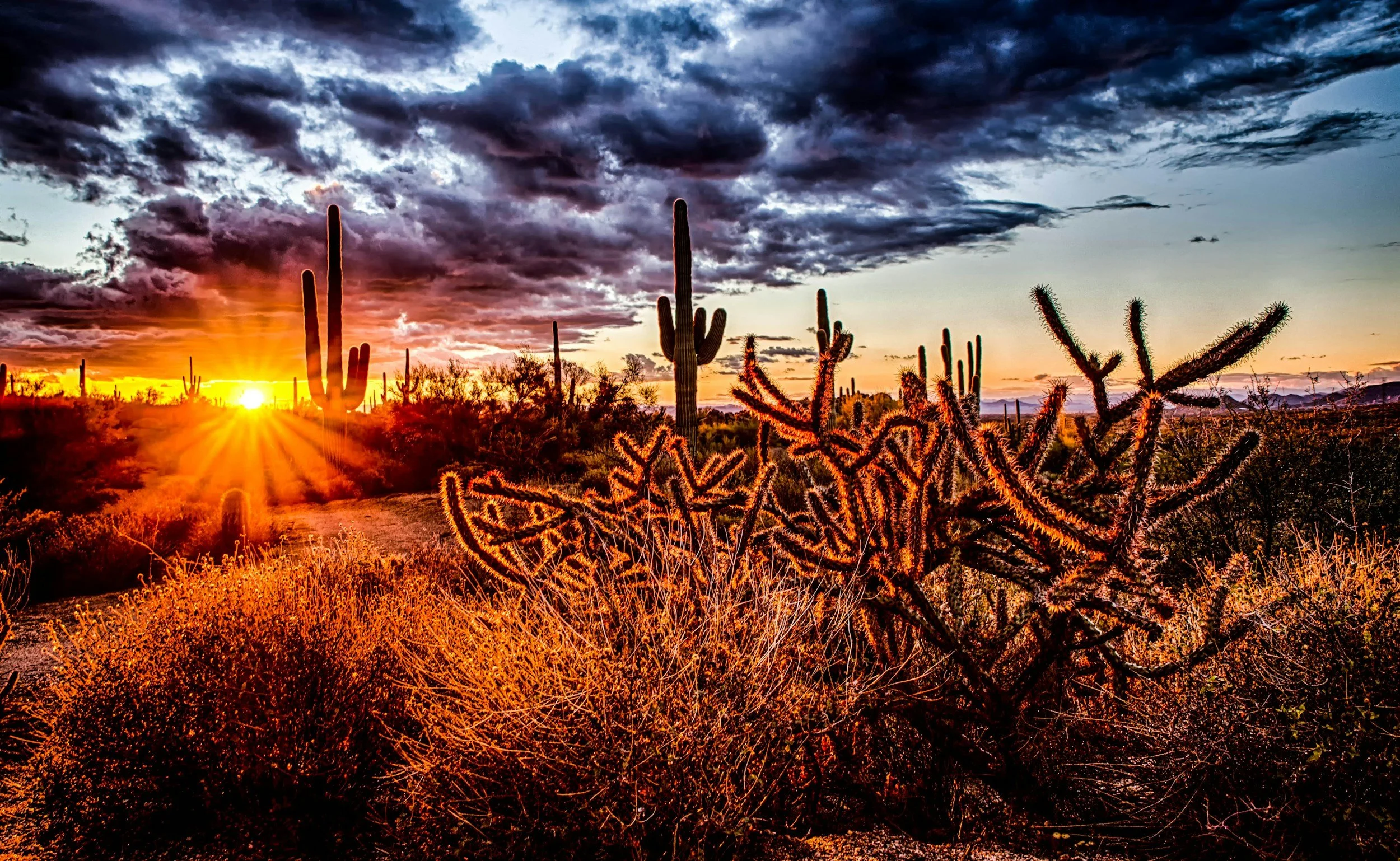 SEO Agency for Lawyers Scottsdale, Arizona