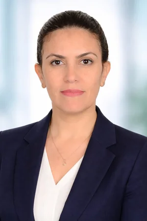 Engi Elbardissy