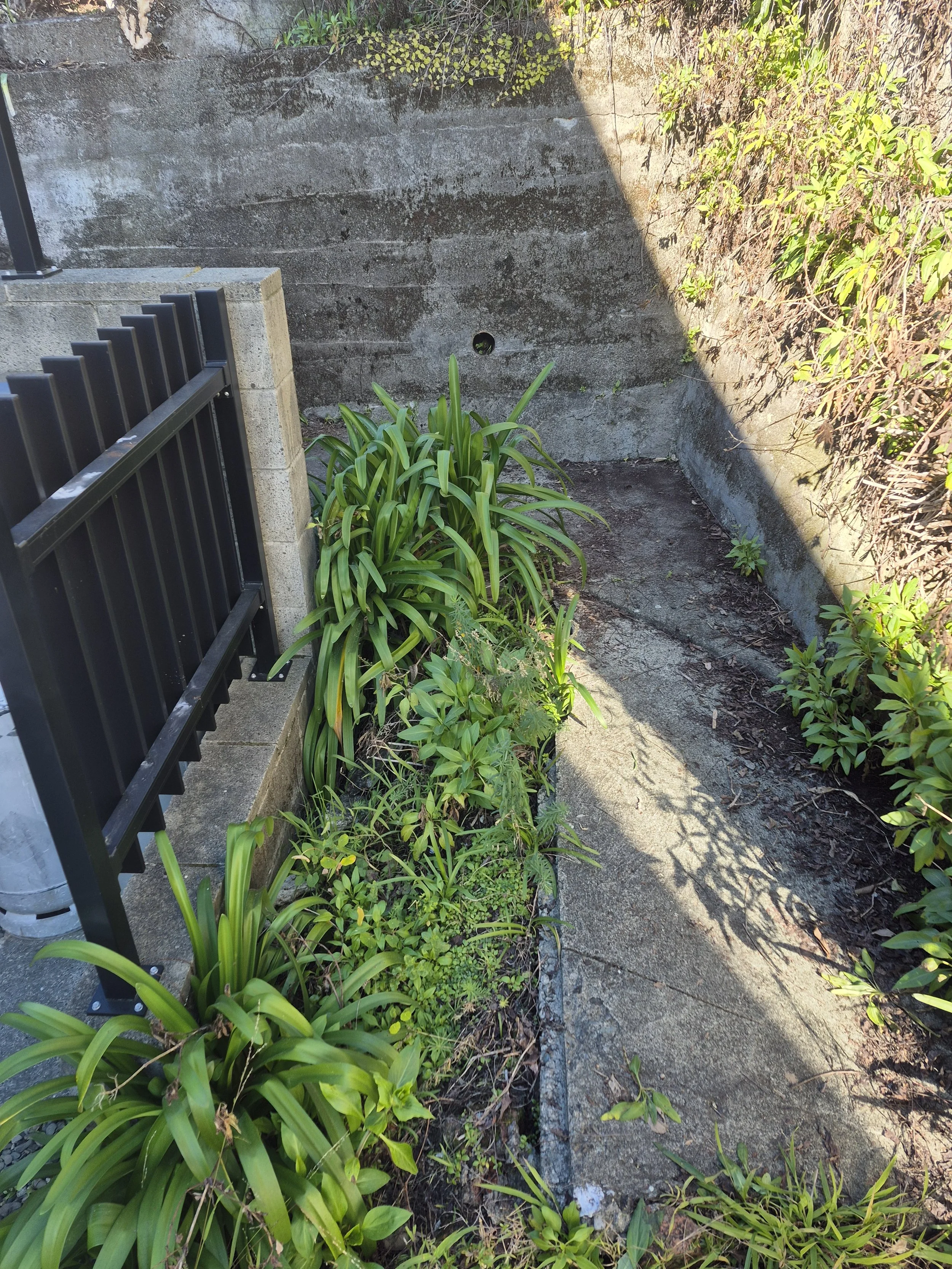 BEFORE: Hard landscaping