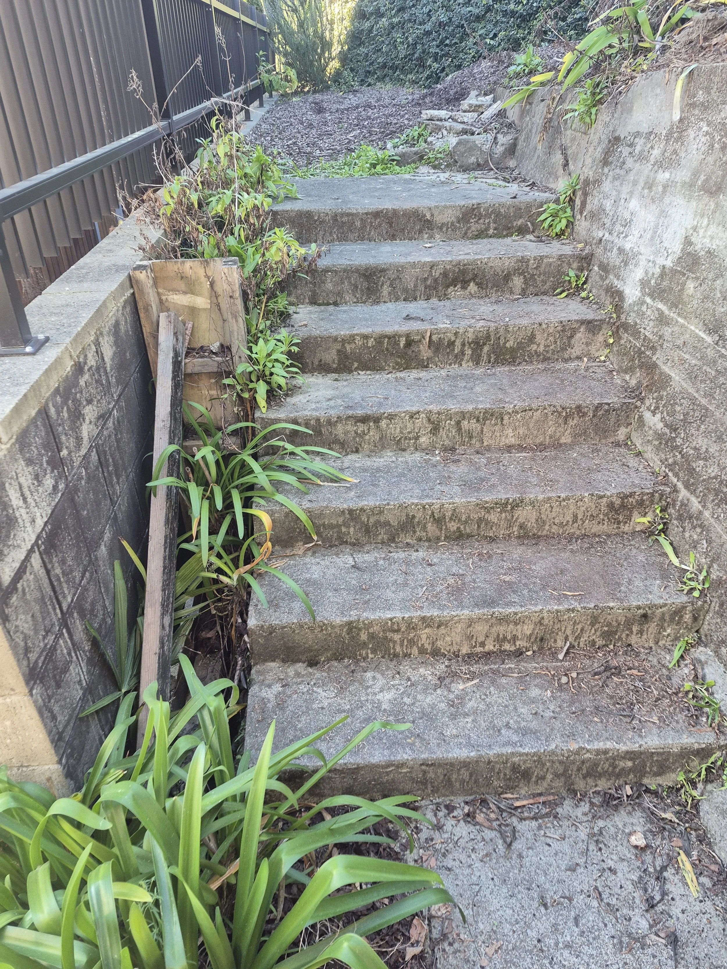 BEFORE: Hard landscaping