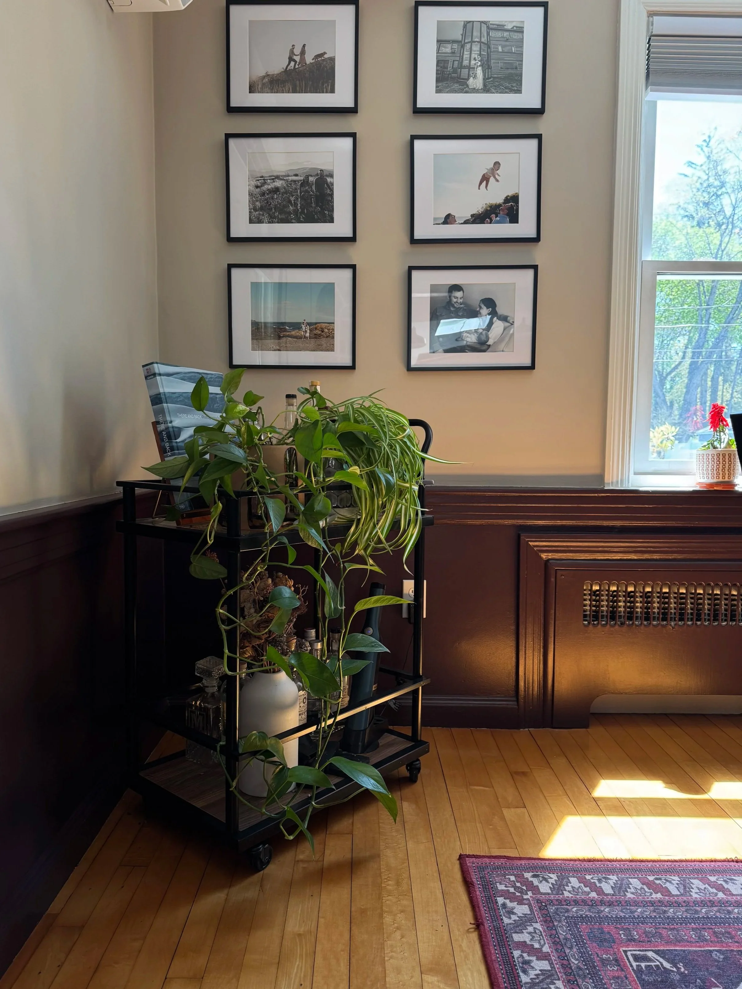 Interior of a room with beige walls, three black-framed photos hanging on the wall, a wooden floor, a black metal stand with plants and bottles, a window with partially open blinds, and a red patterned rug.