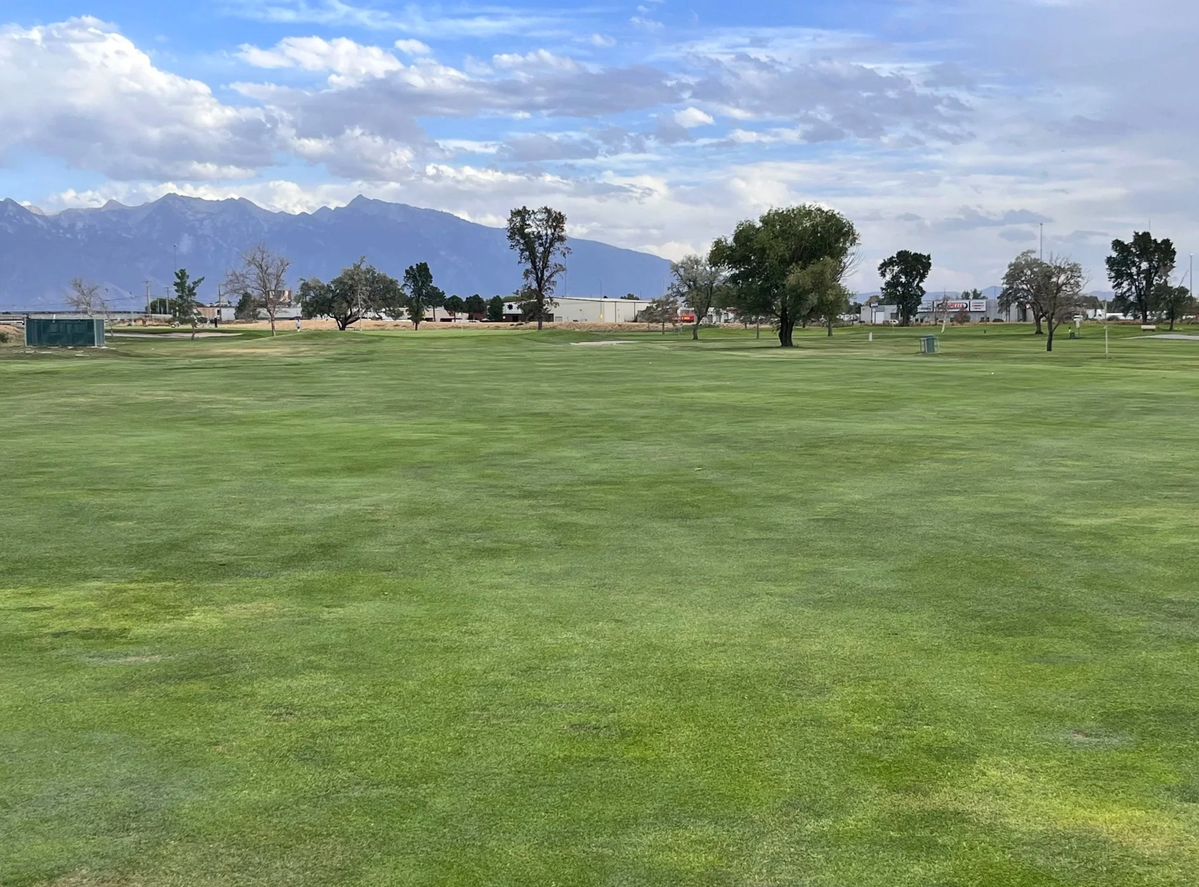 Glendale Hole #6 -
Currently wall to wall turf