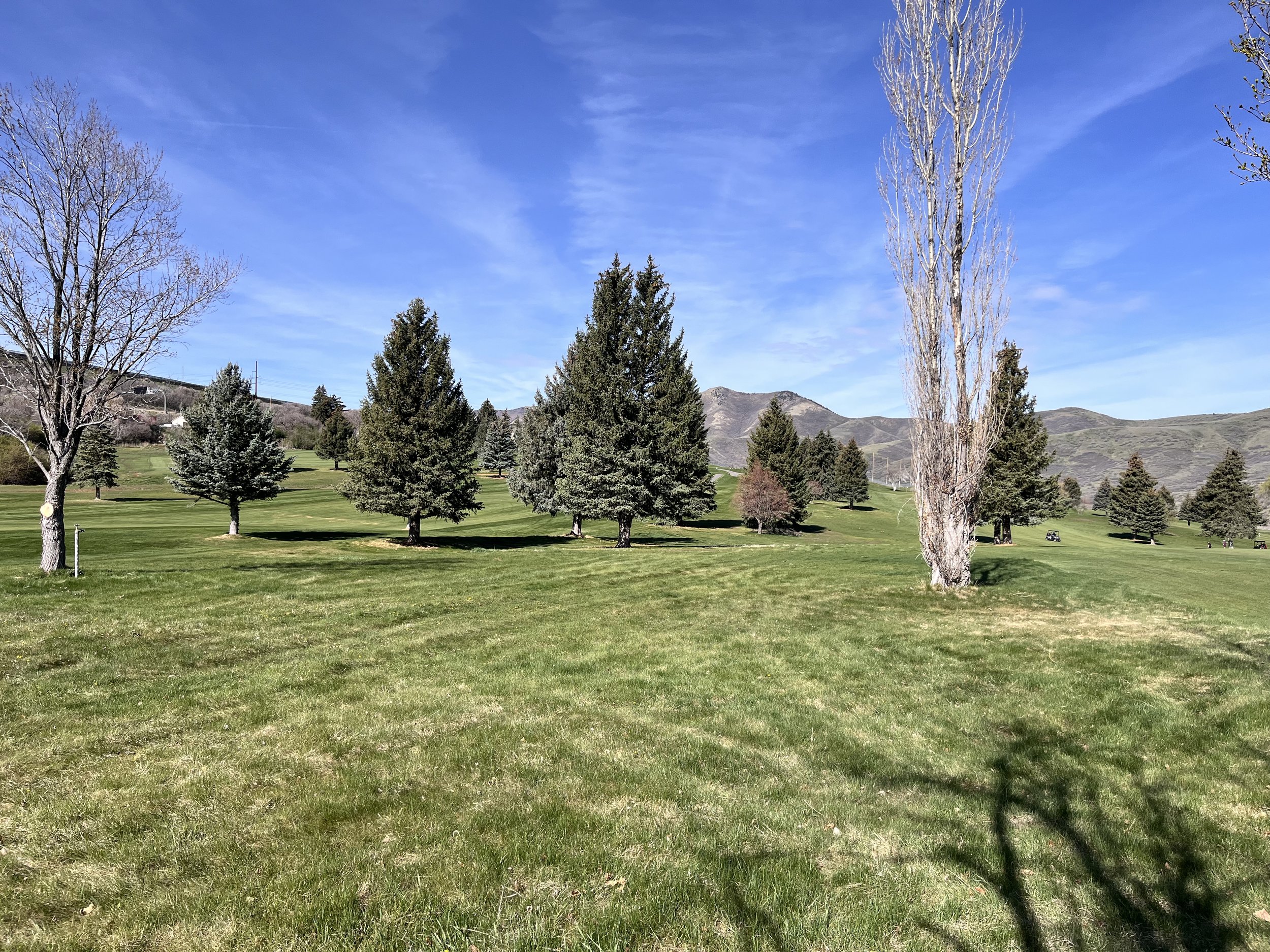 Mtn Dell Canyon 4-5 Native - Existing